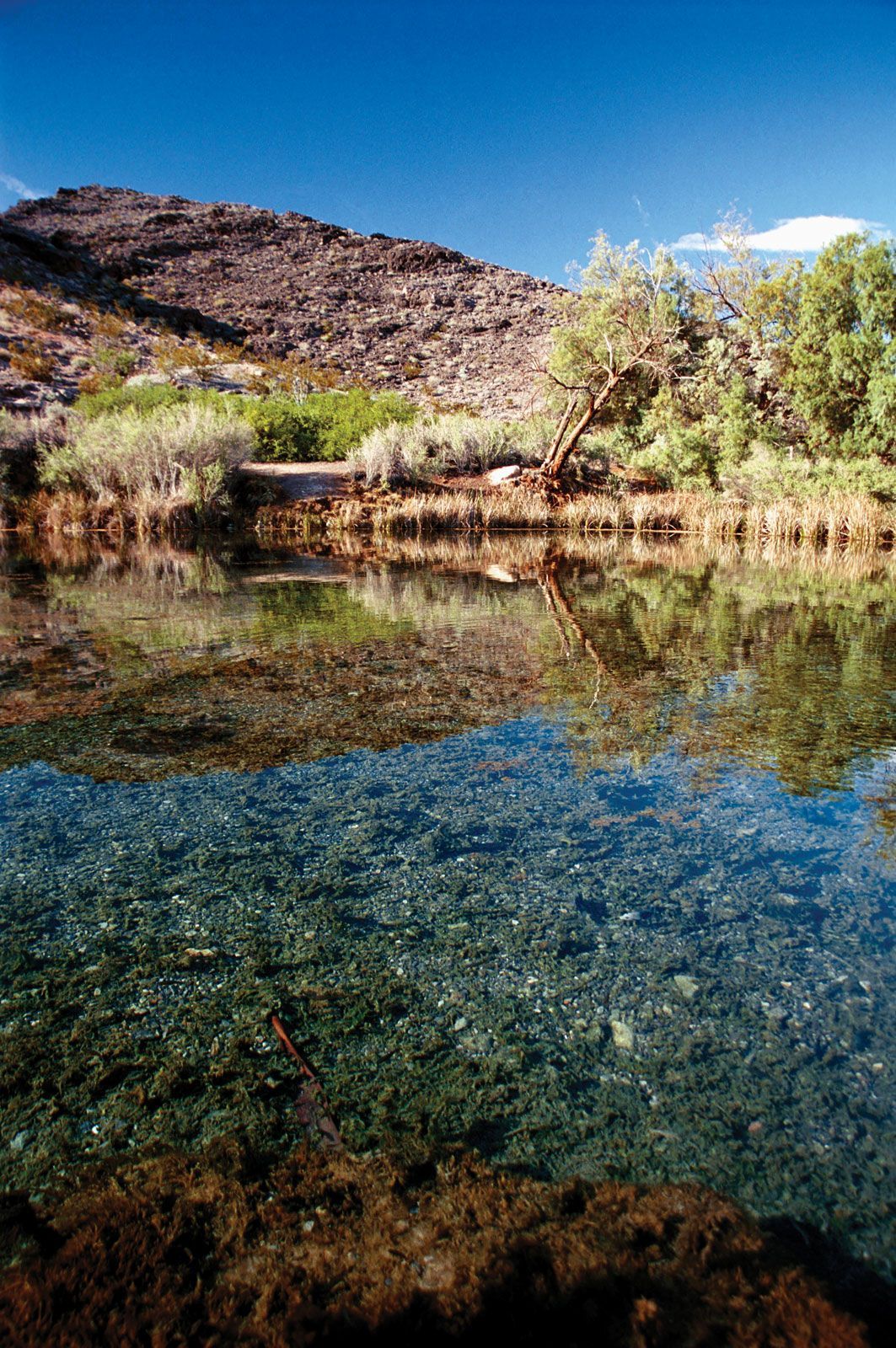 1063x1600 Lake Mead. Level, Depth, Location, Drought, Map, & Facts