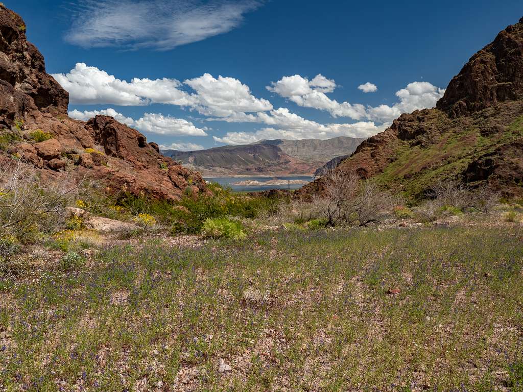 1024x768 Springtime Canyon Mead Domain Media Search Engine Public Domain Search