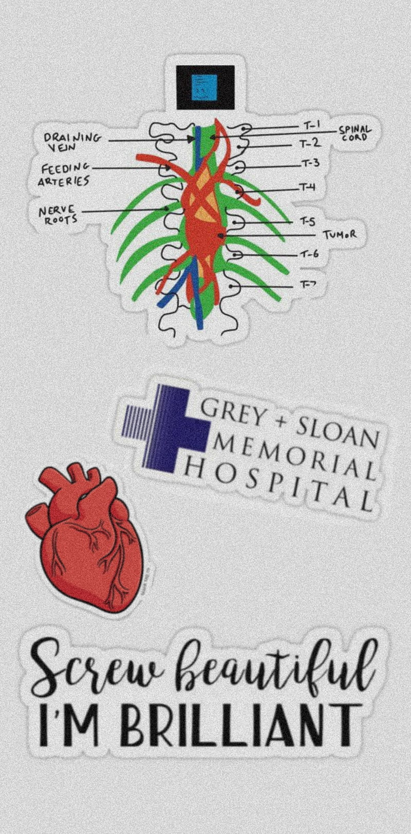 800x1620 Greys anatomy phrase, bonito, cristina yang, entertainment, greys anatomy, greys anatomy lovers, HD phone wallpaper