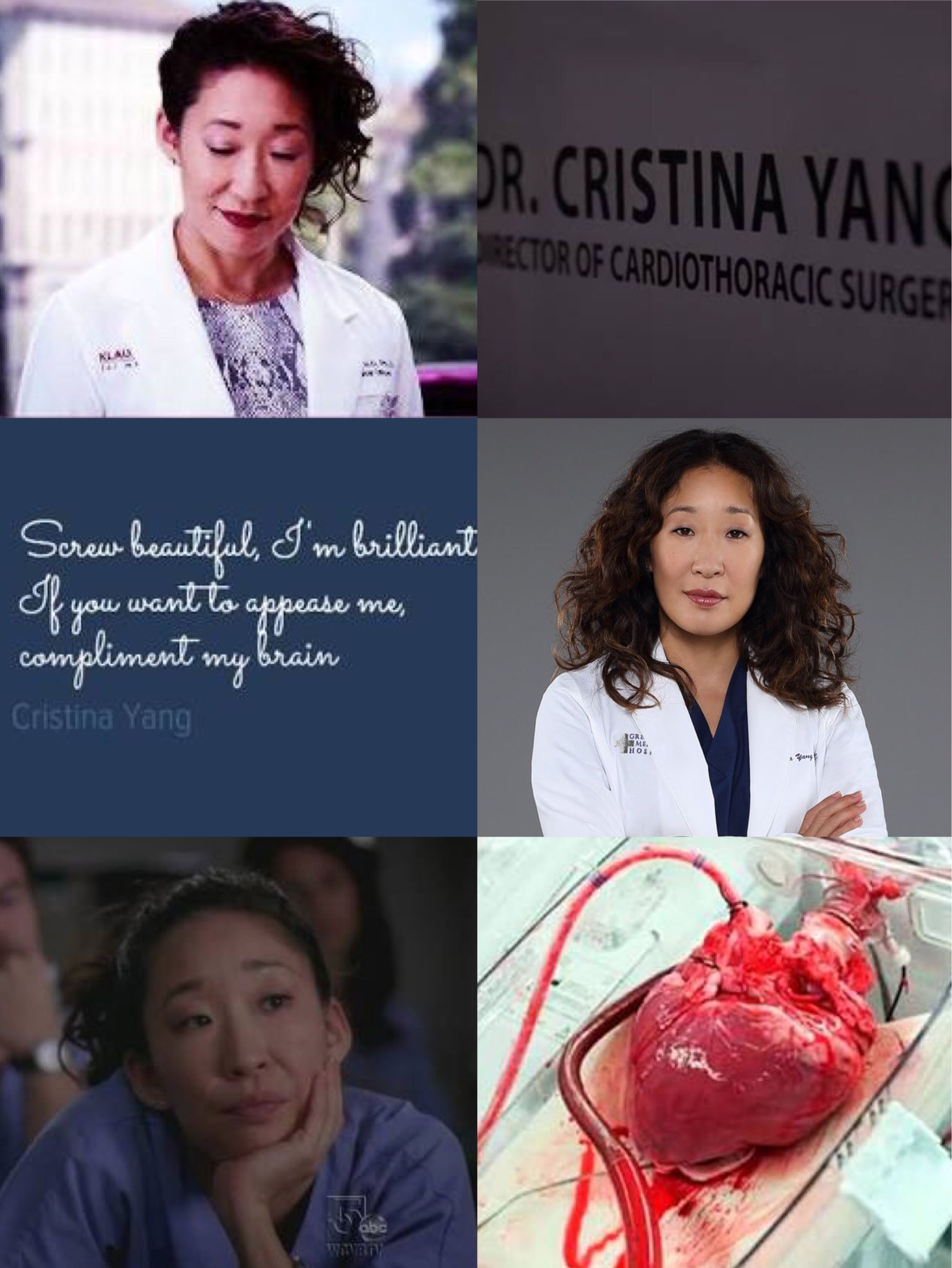 2508x3340 Cristina Yang Wallpaper