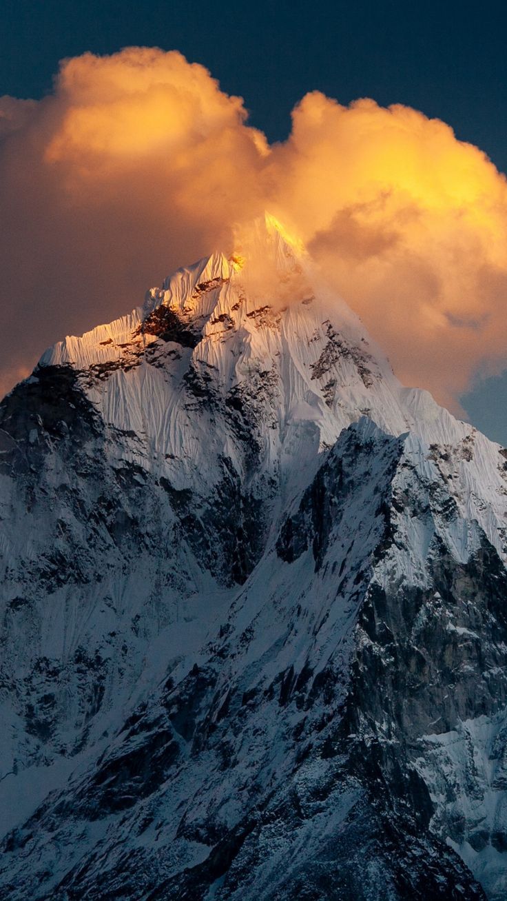 736x1307 Nature Wallpaper (HD 4K)