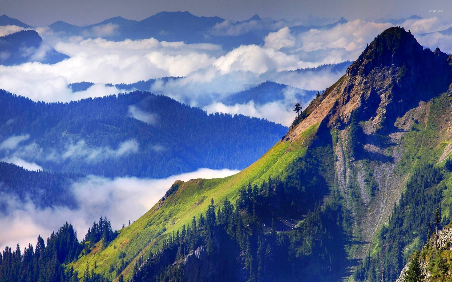 1920x1200 Mountain tops mixing with the clouds wallpaper wallpaper