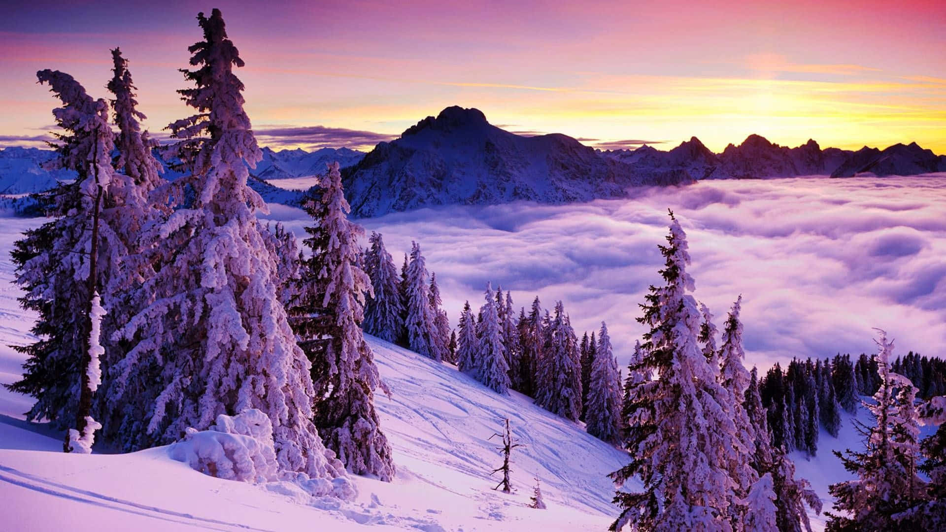 1920x1080 Download Snowy Mountain Top Above The Cloud Cover Snow 4K Wallpaper