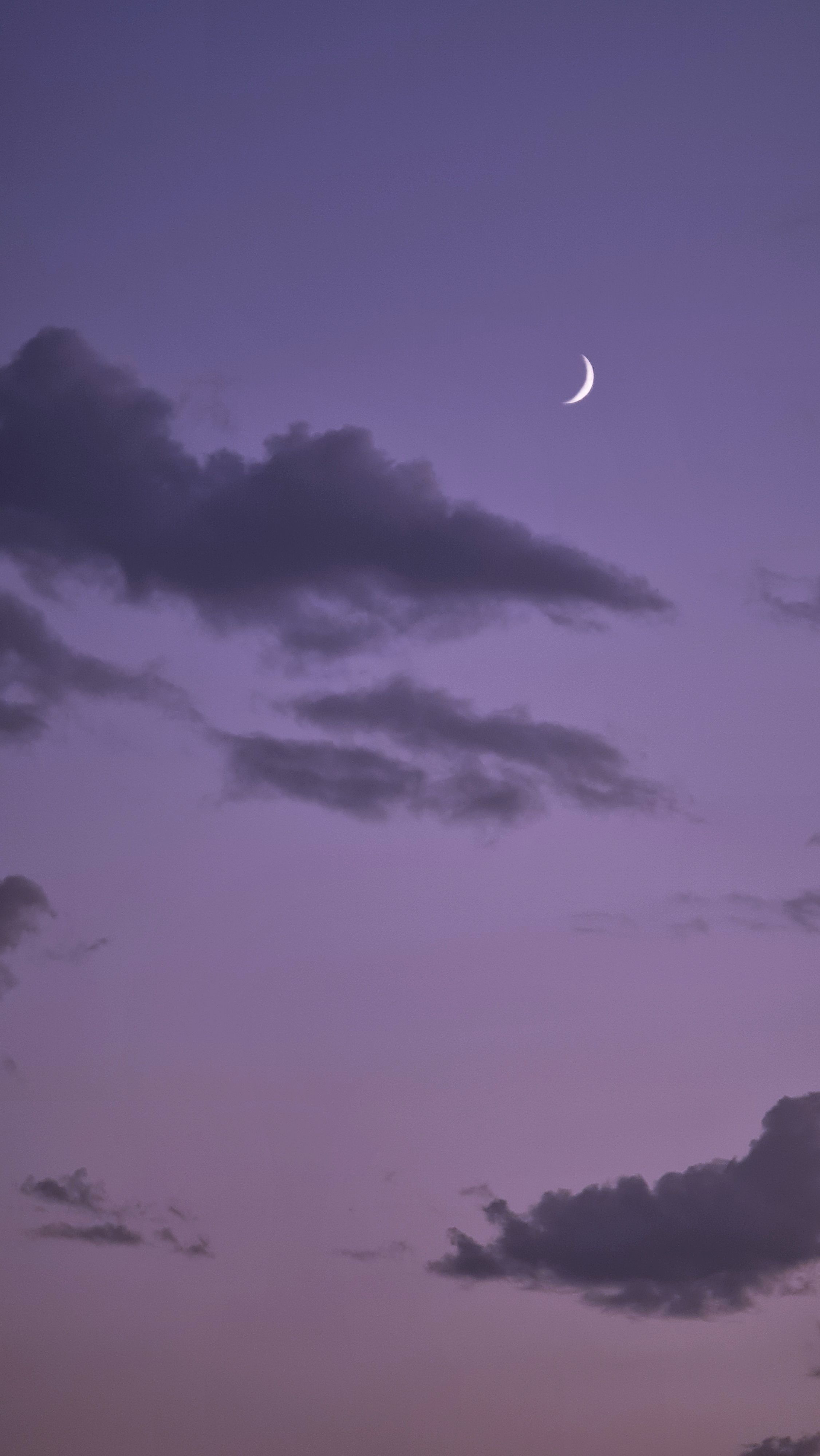 2252x4000 Purple Aesthetic Wallpaper Night Sky Photo, Download The BEST Free Purple Aesthetic Wallpaper Night Sky & HD Image
