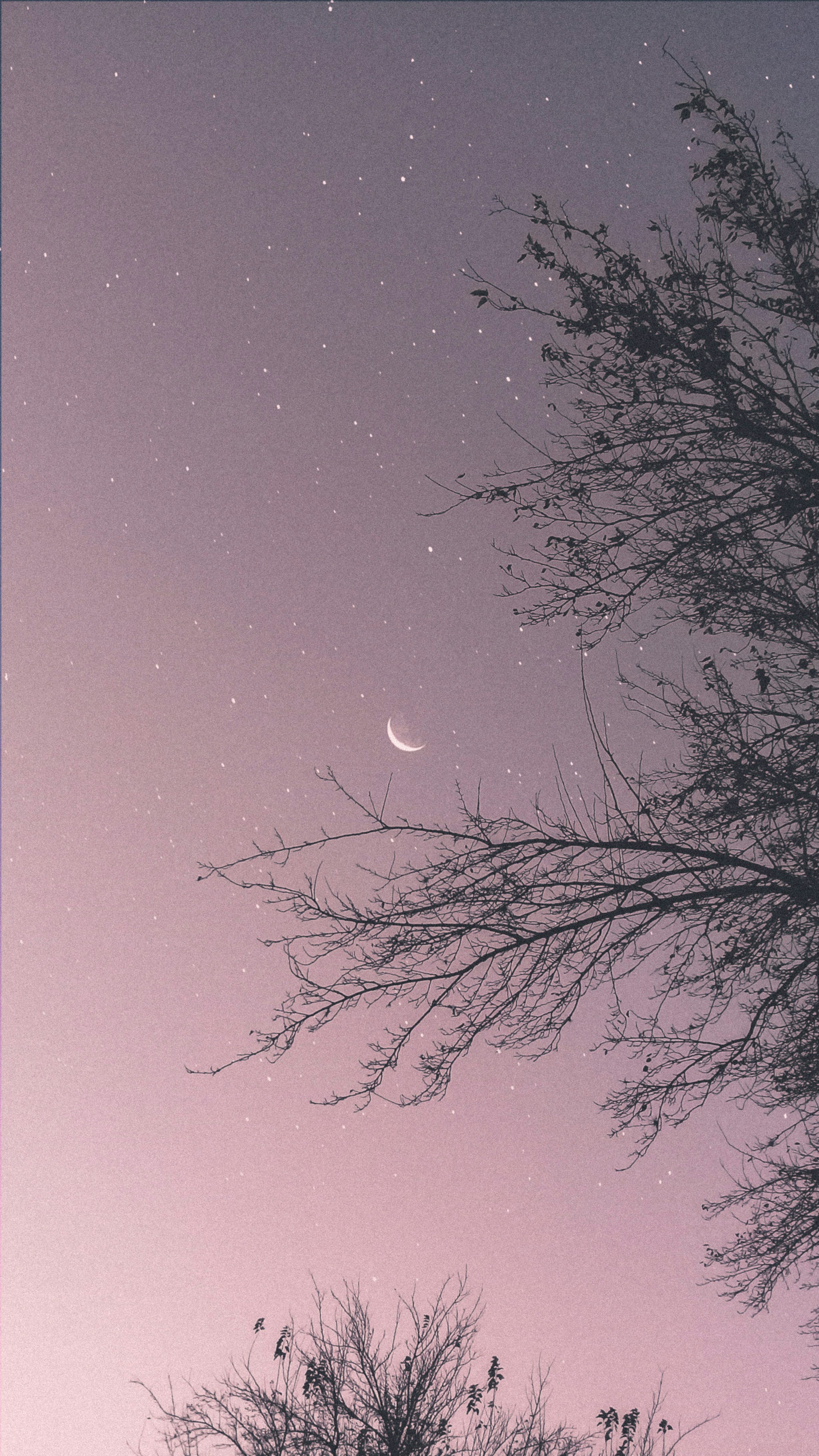 3000x5333 Pastel Moon Picture. Download Free Image