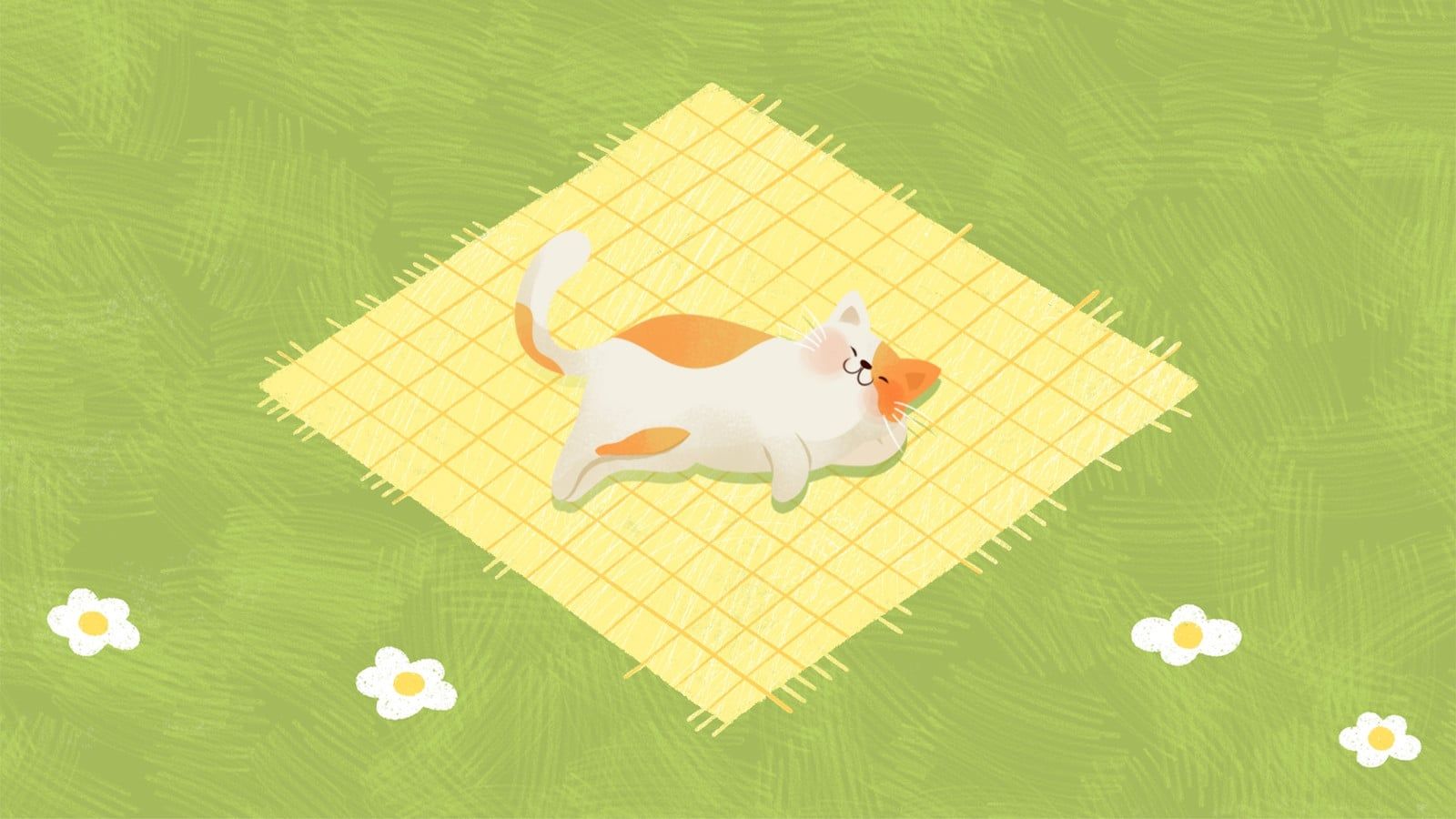 1600x900 Customize Cat Desktop Wallpaper Templates Online