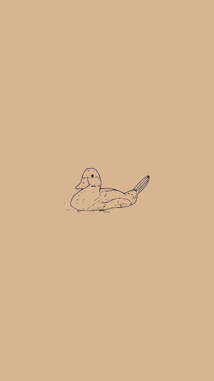 736x1308 Duck Wallpaper