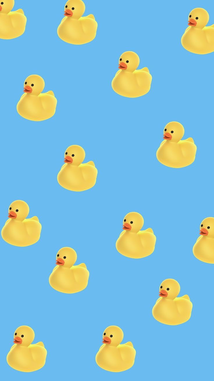 736x1308 Duck Wallpaper for Android and iPhone #CanvaEdit #HRCGgraphicdesign