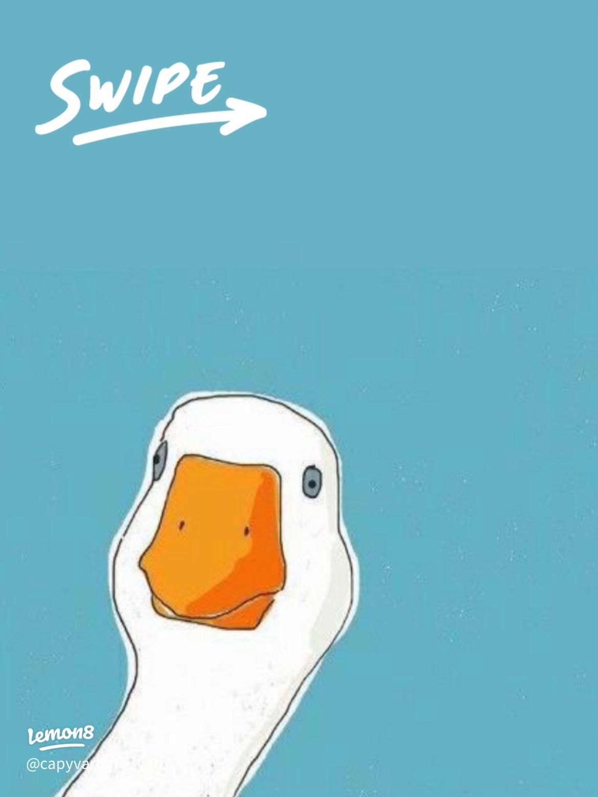 1170x1560 Quack Up Your Screen!