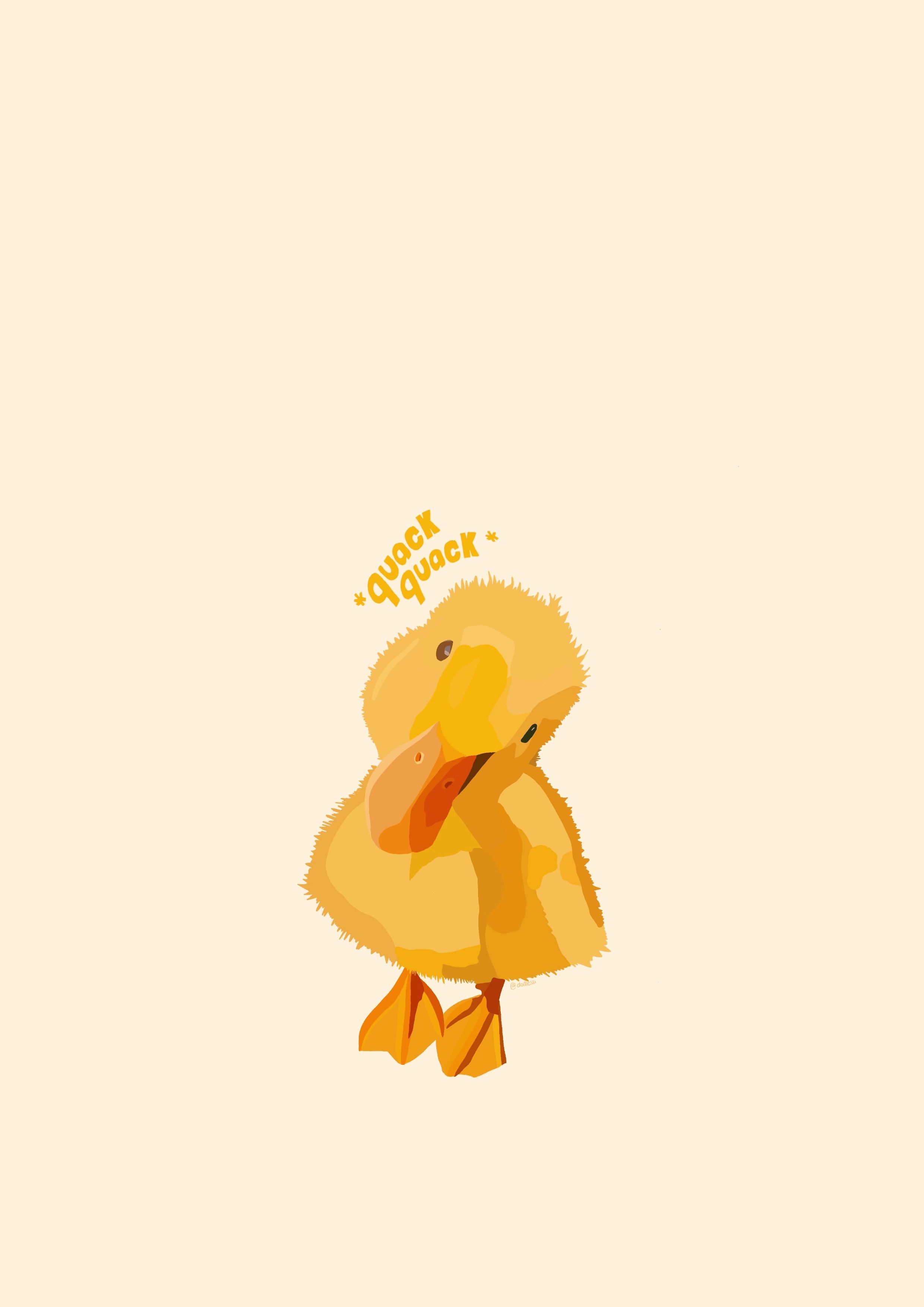 2480x3508 Cool Ducks Wallpaper
