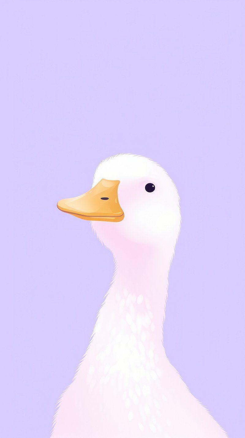 800x1427 Duck iPhone Wallpaper Image Wallpaper