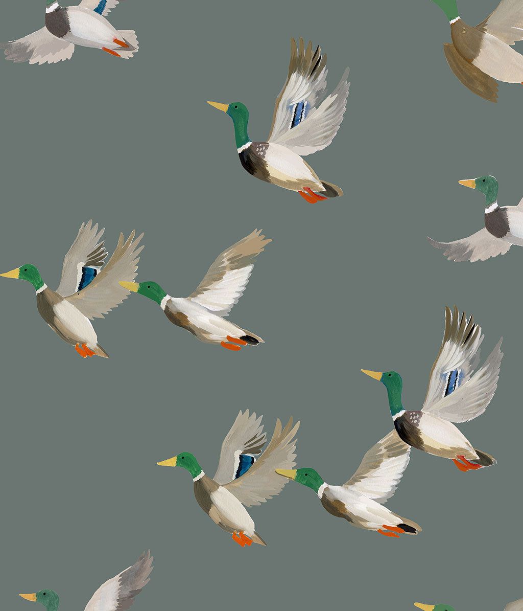 1024x1195 Mallard Wallpaper Mural. M.M Linen