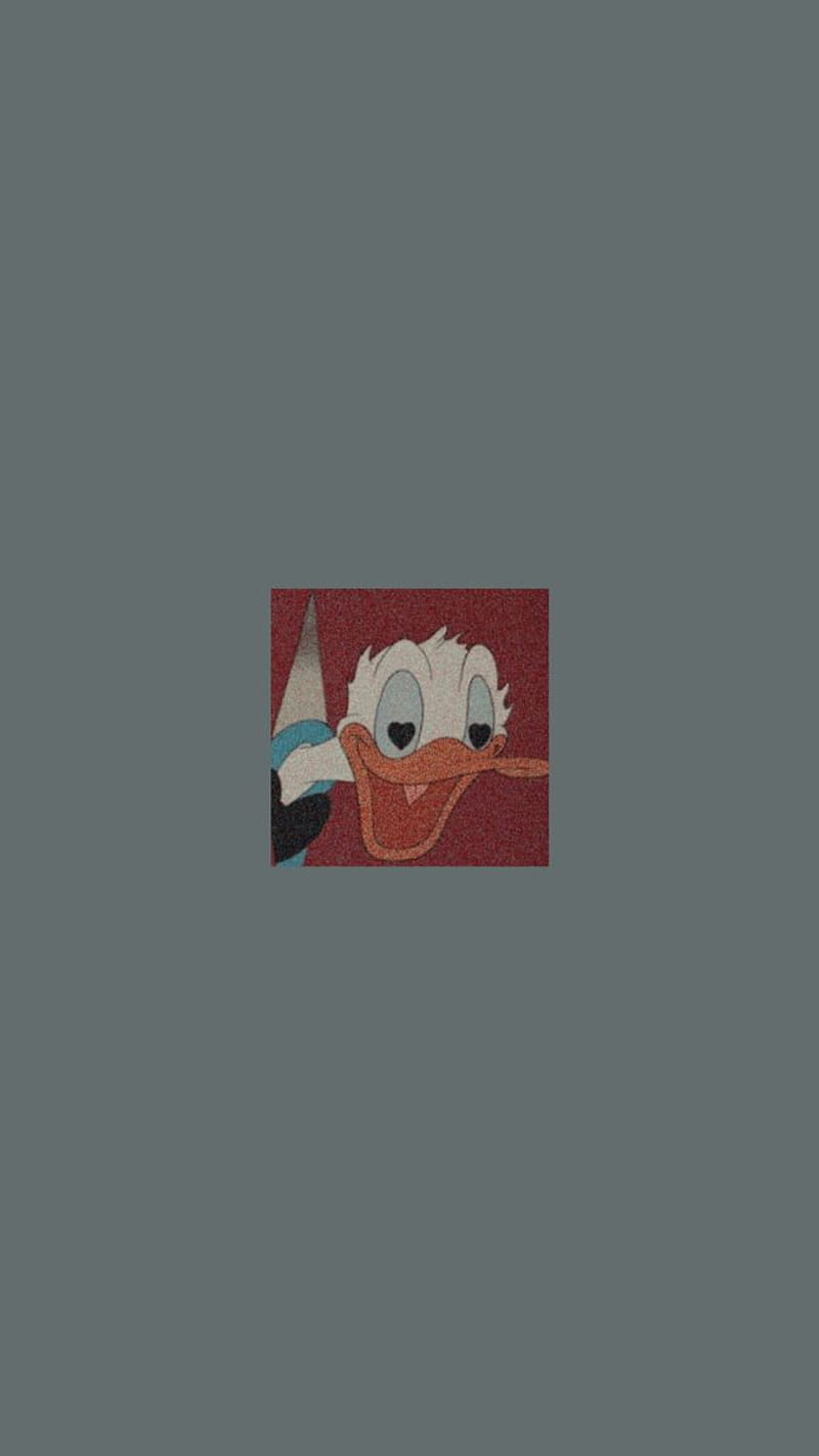 800x1422 HD aesthetic duck wallpaper