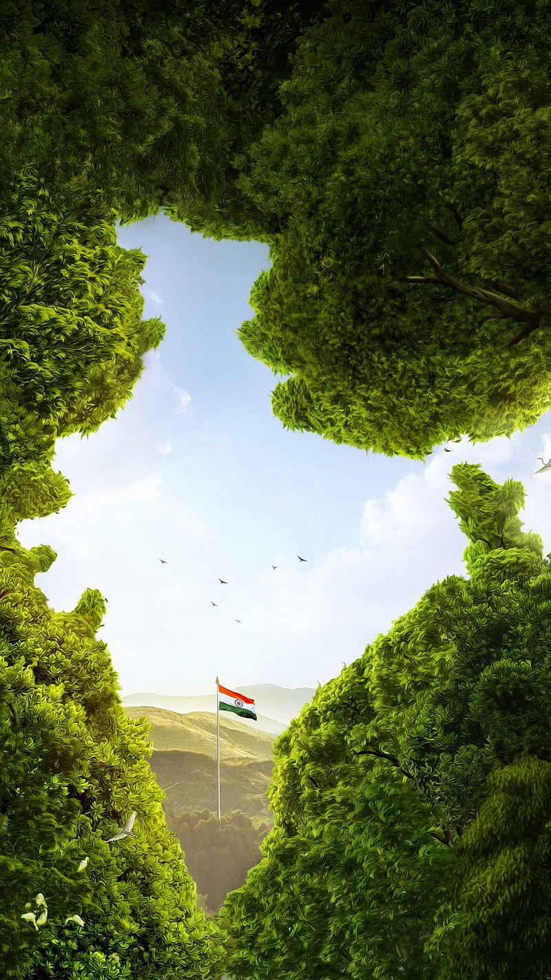 800x1422 HD india map wallpaper