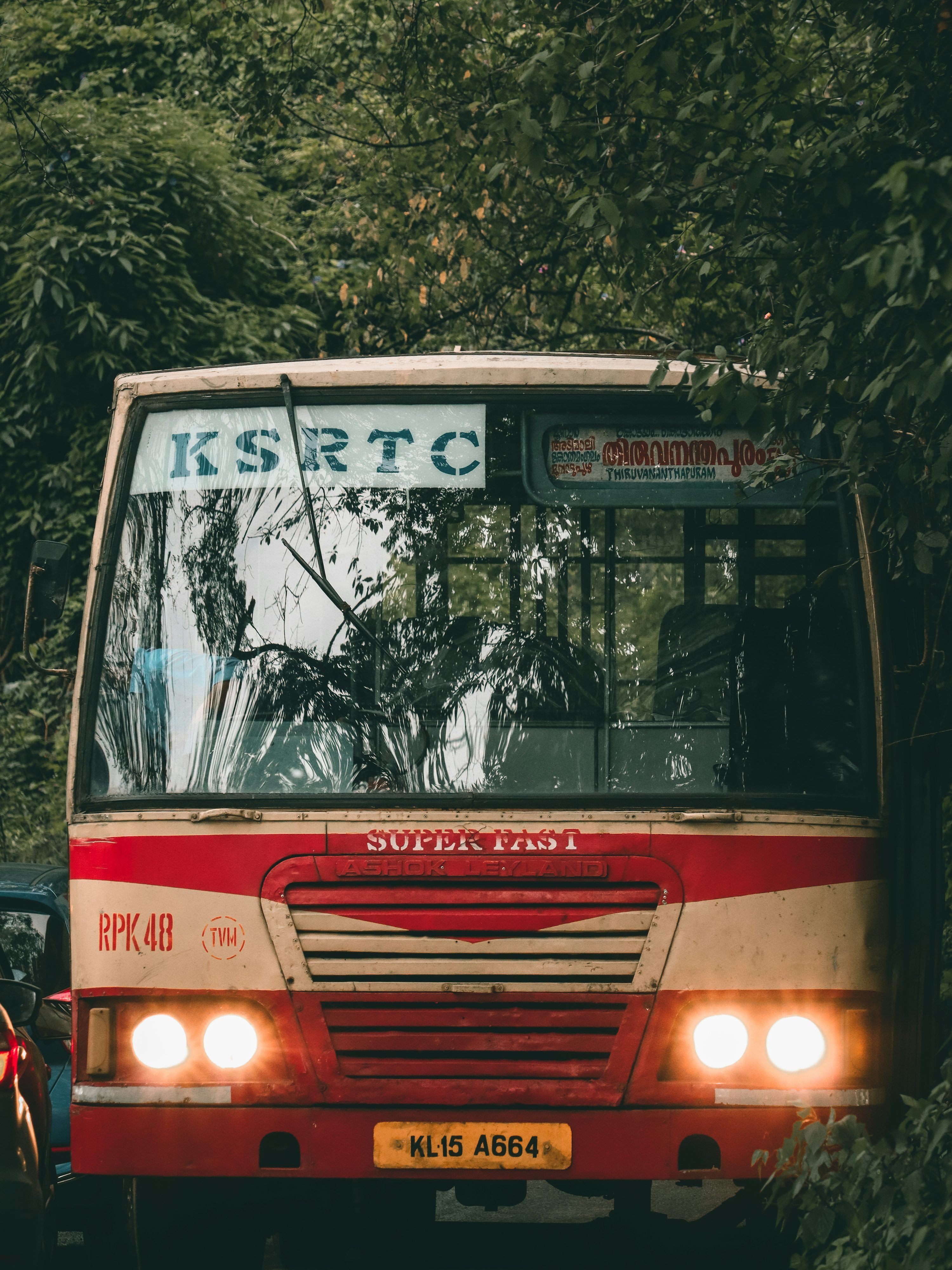 3000x4000 Red and white bus on road during daytime photo