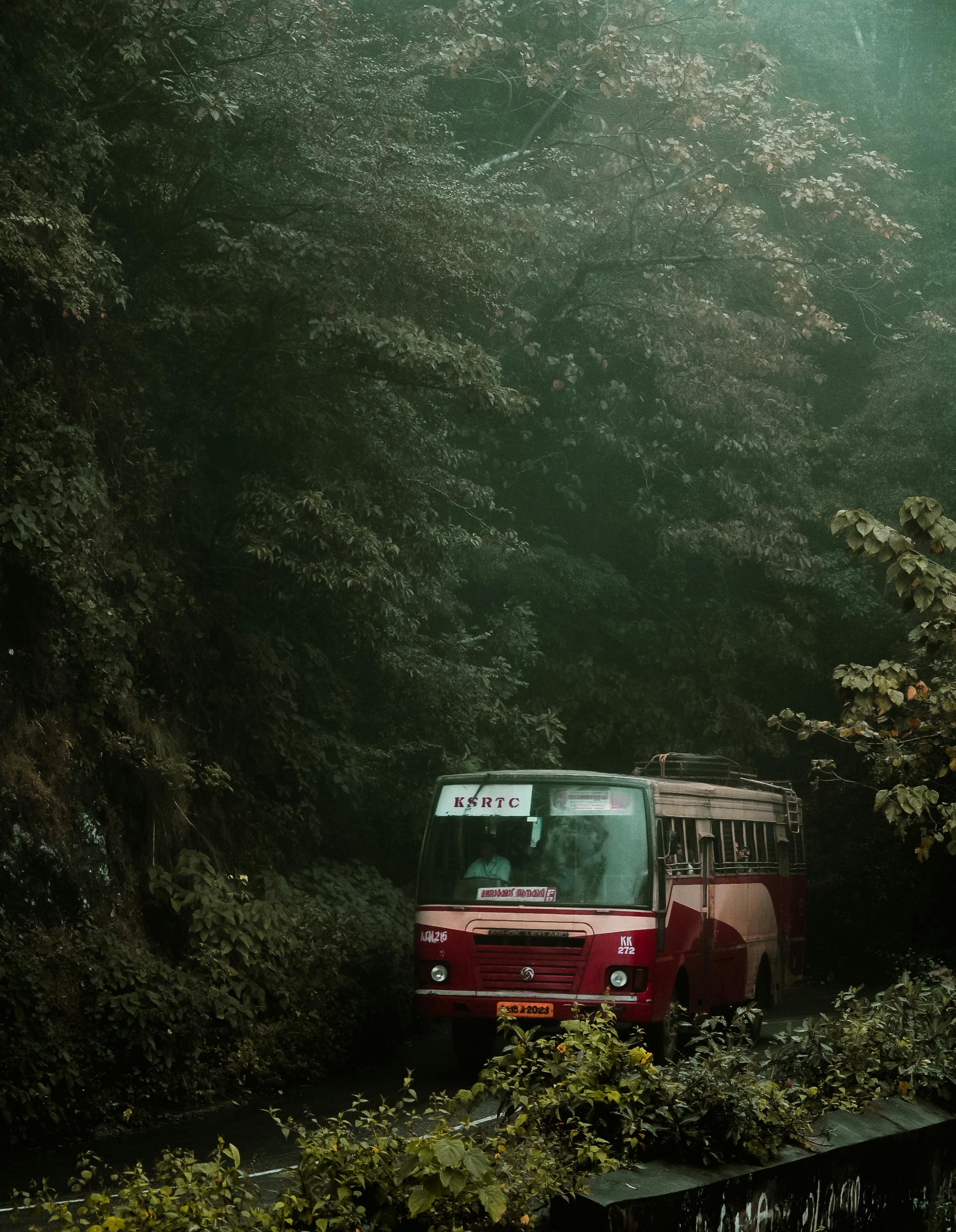 2000x2578 Red Bus on the Road in the Mountains · Free