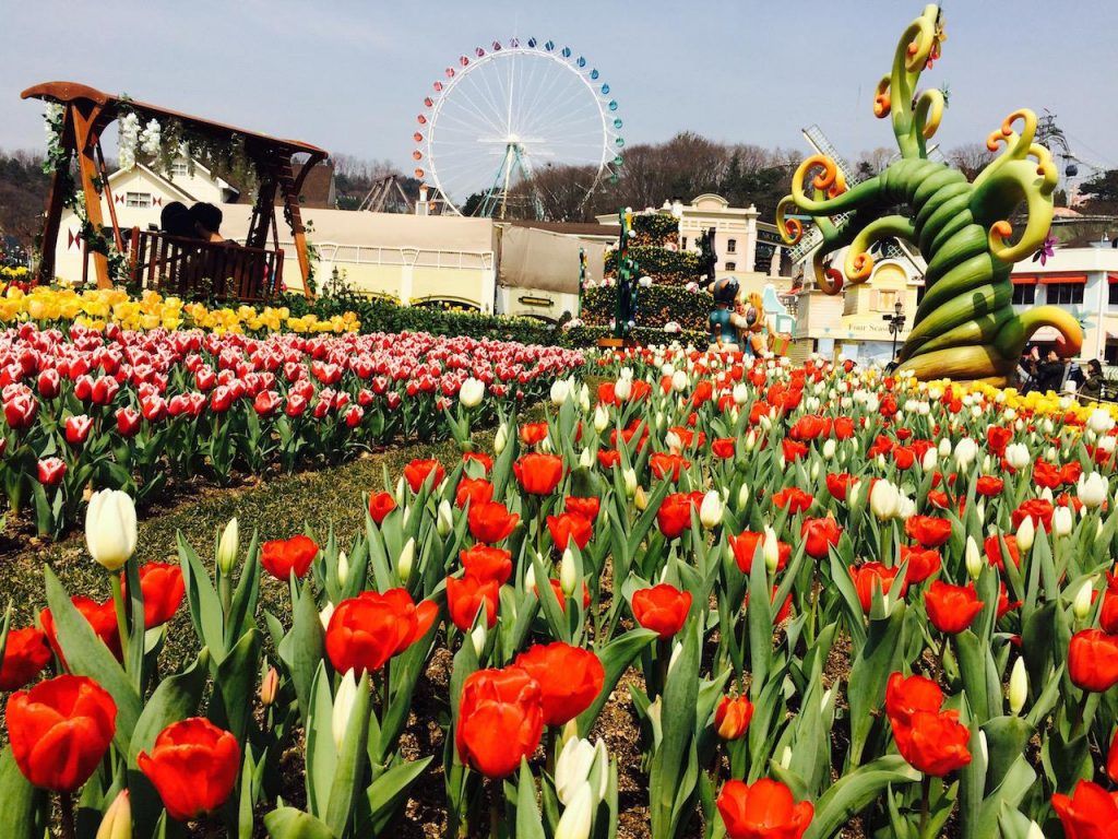 1024x768 Everland Remains South Korea's Most Visited Attraction