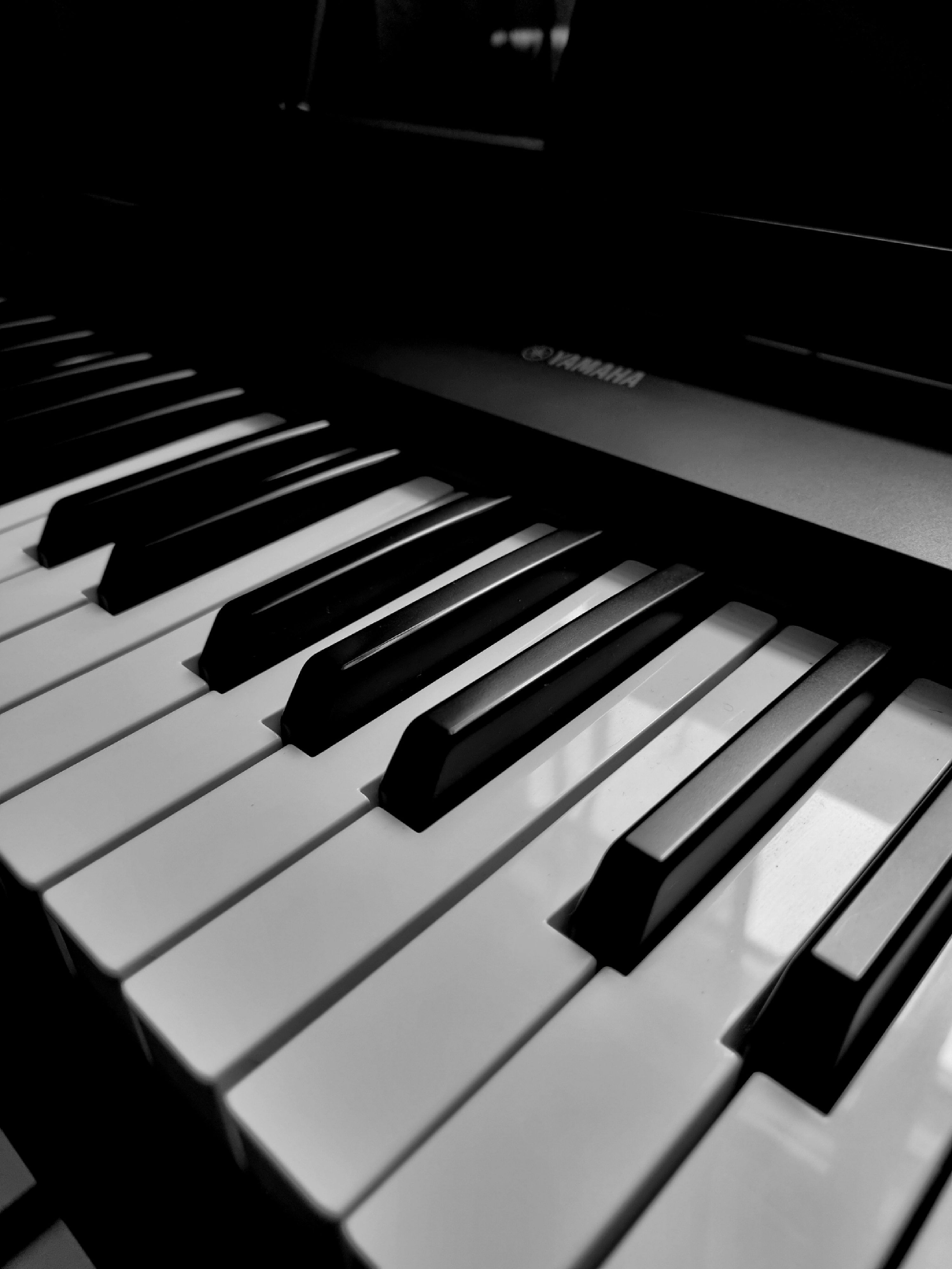 3000x4000 A black and white photo of a piano photo