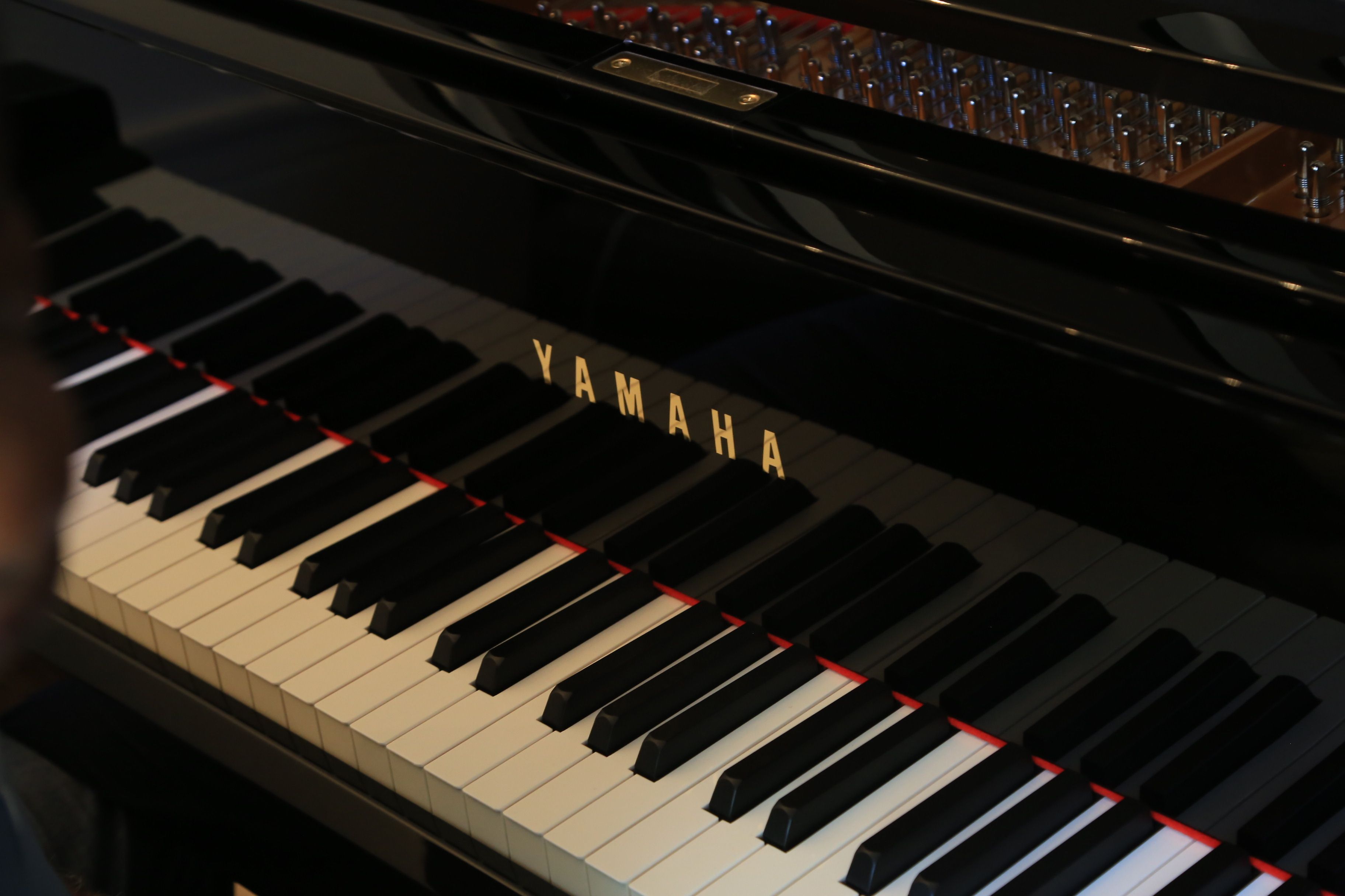3648x2432 Close Up Of Yamaha Piano Keyboard · Free