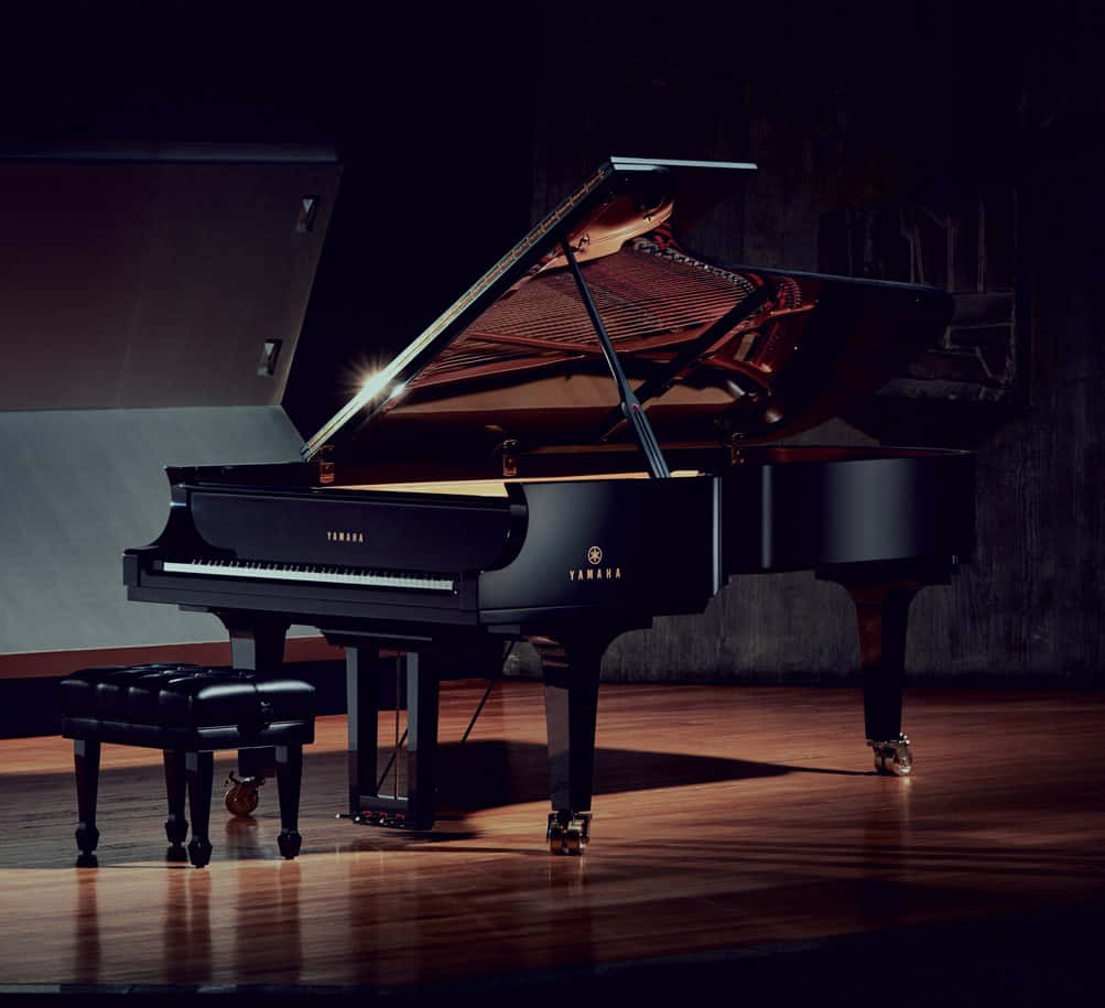 1003x915 Download A Classic Grand Piano in a Concert Hall