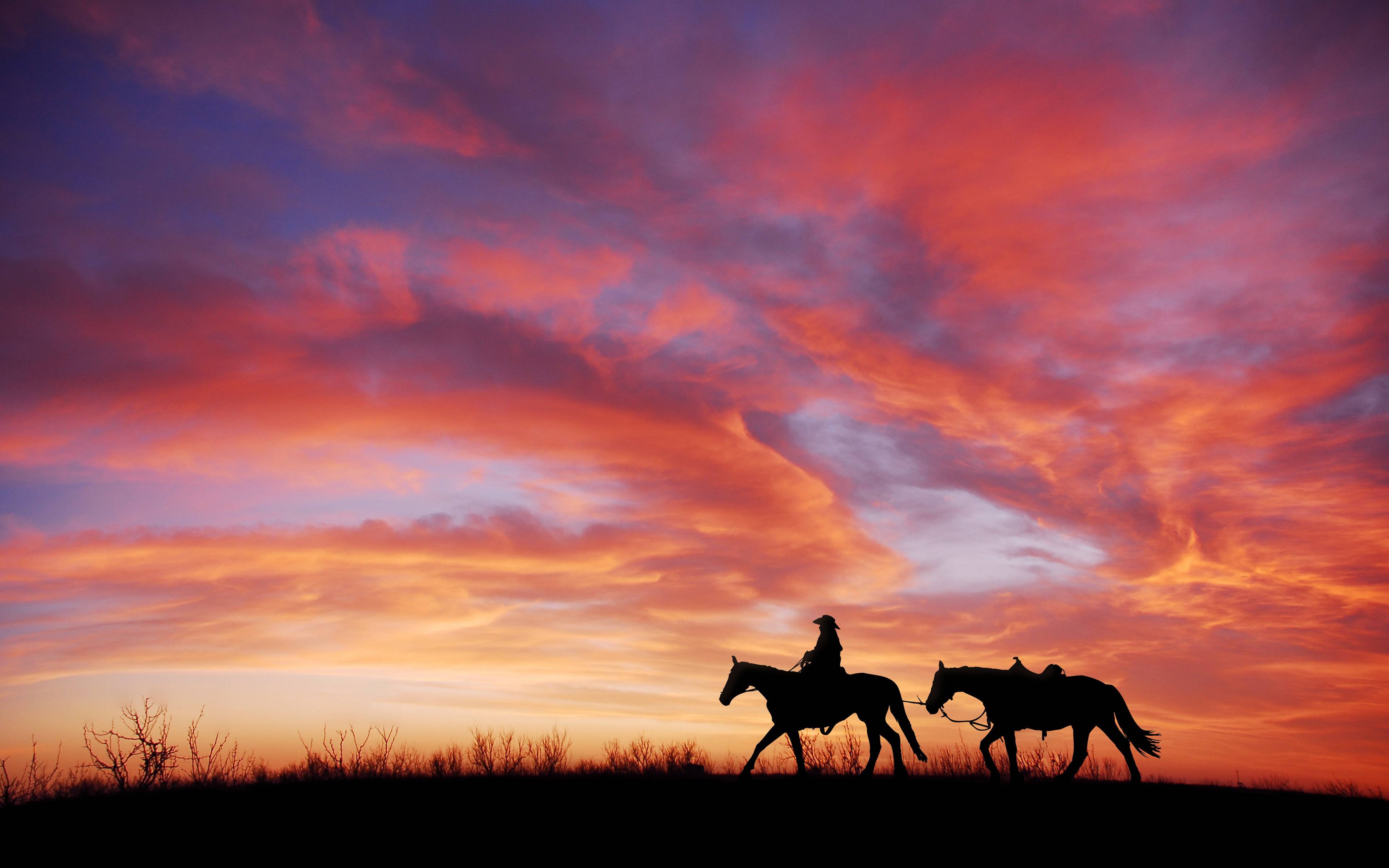 3840x2400 Cowboy Horses 4K Wallpaper