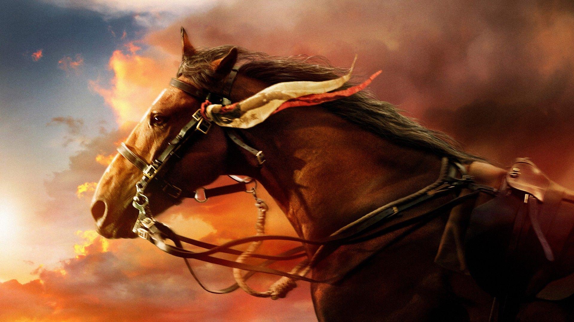 Horse 4k Wallpapers - Top Free Horse 4k Backgrounds - WallpaperAccess