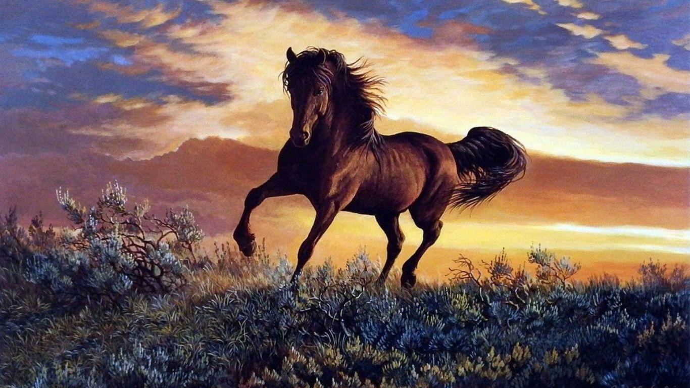 Horse 4k Wallpapers - Top Free Horse 4k Backgrounds - WallpaperAccess