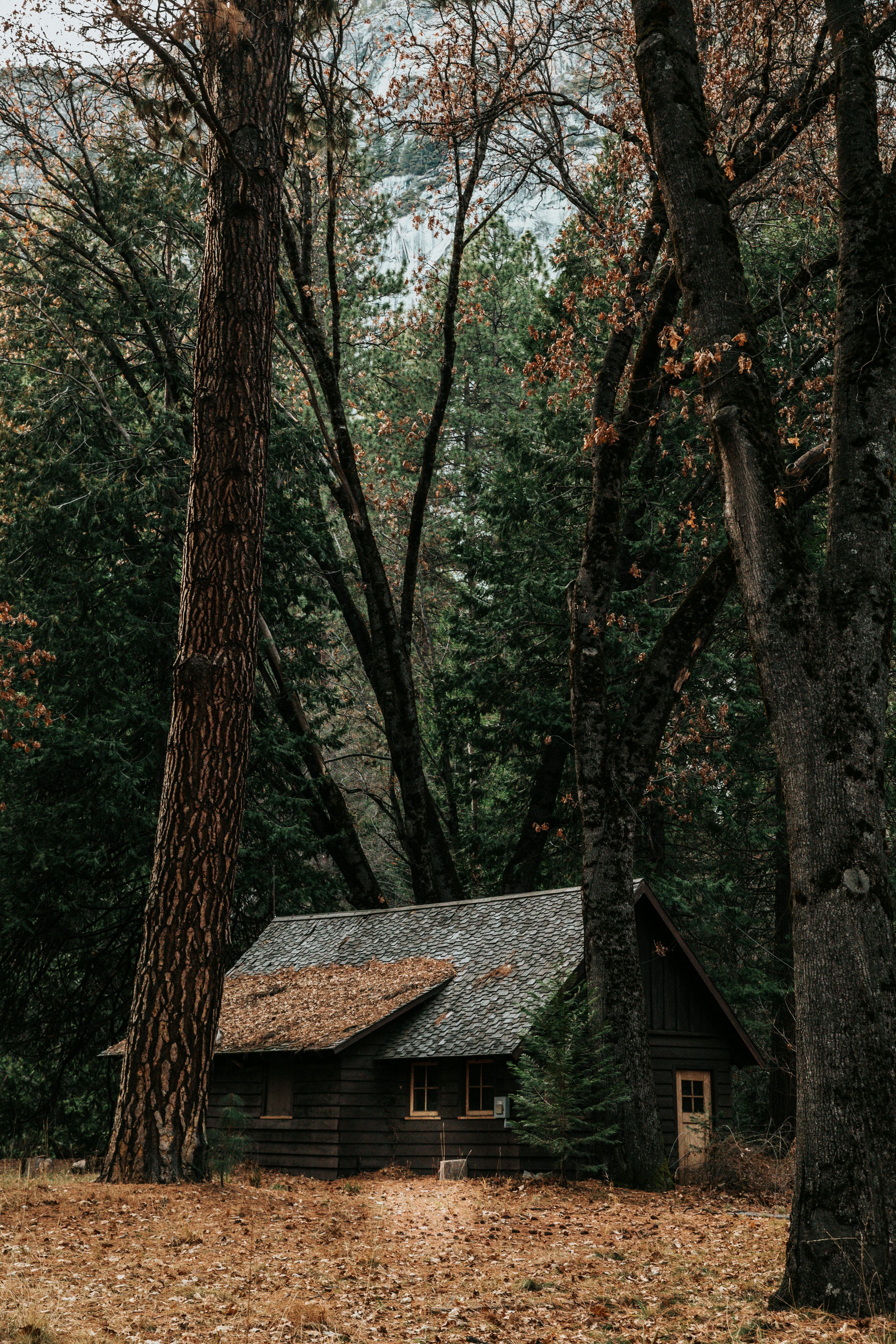 3000x4500 Gray wooden house surrounded