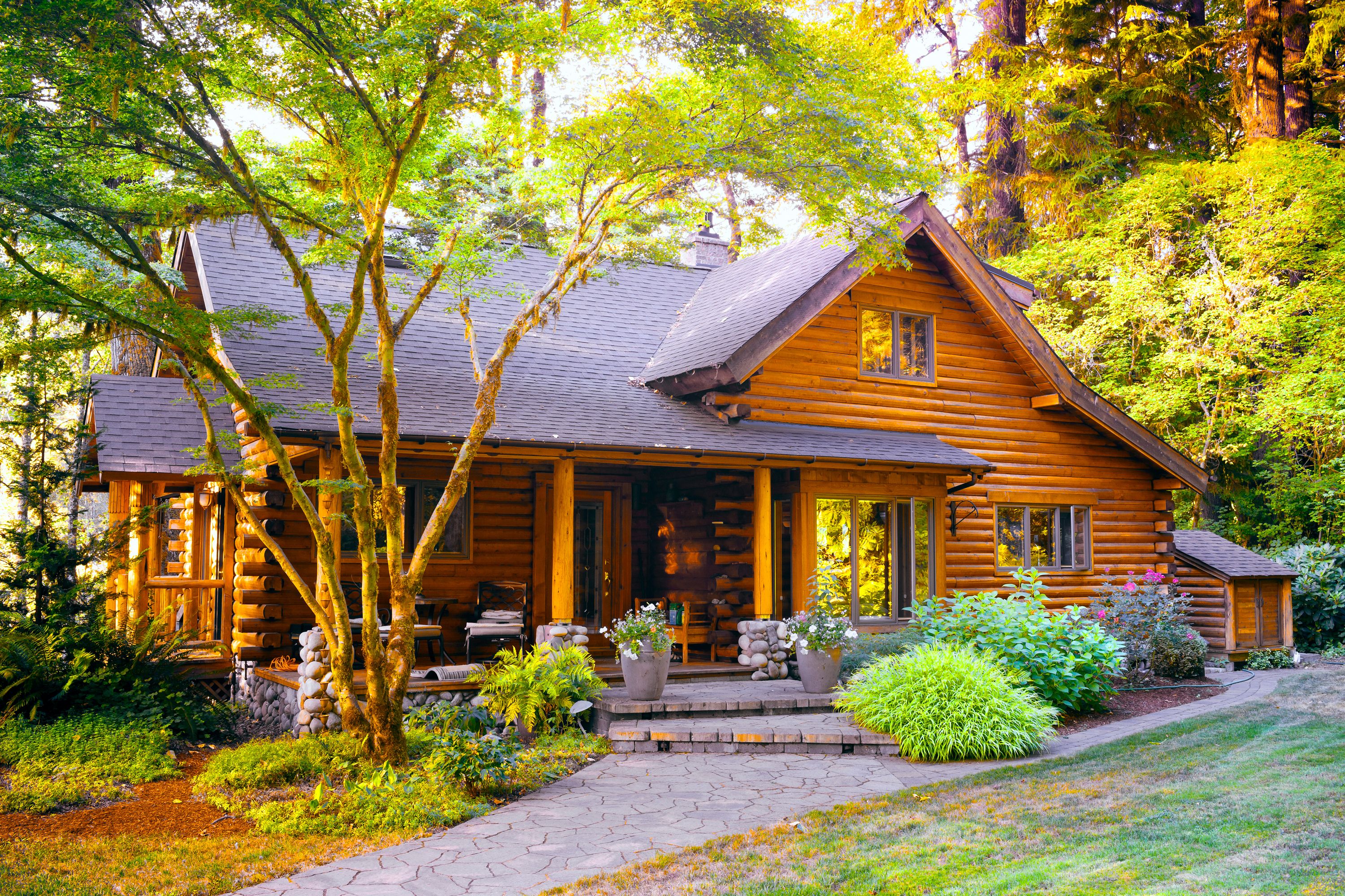 3000x2000 Wallpaper forest, summer, nature, wooden house, House In The Woods for mobile and desktop, section пейзажи, resolution 3000x2000