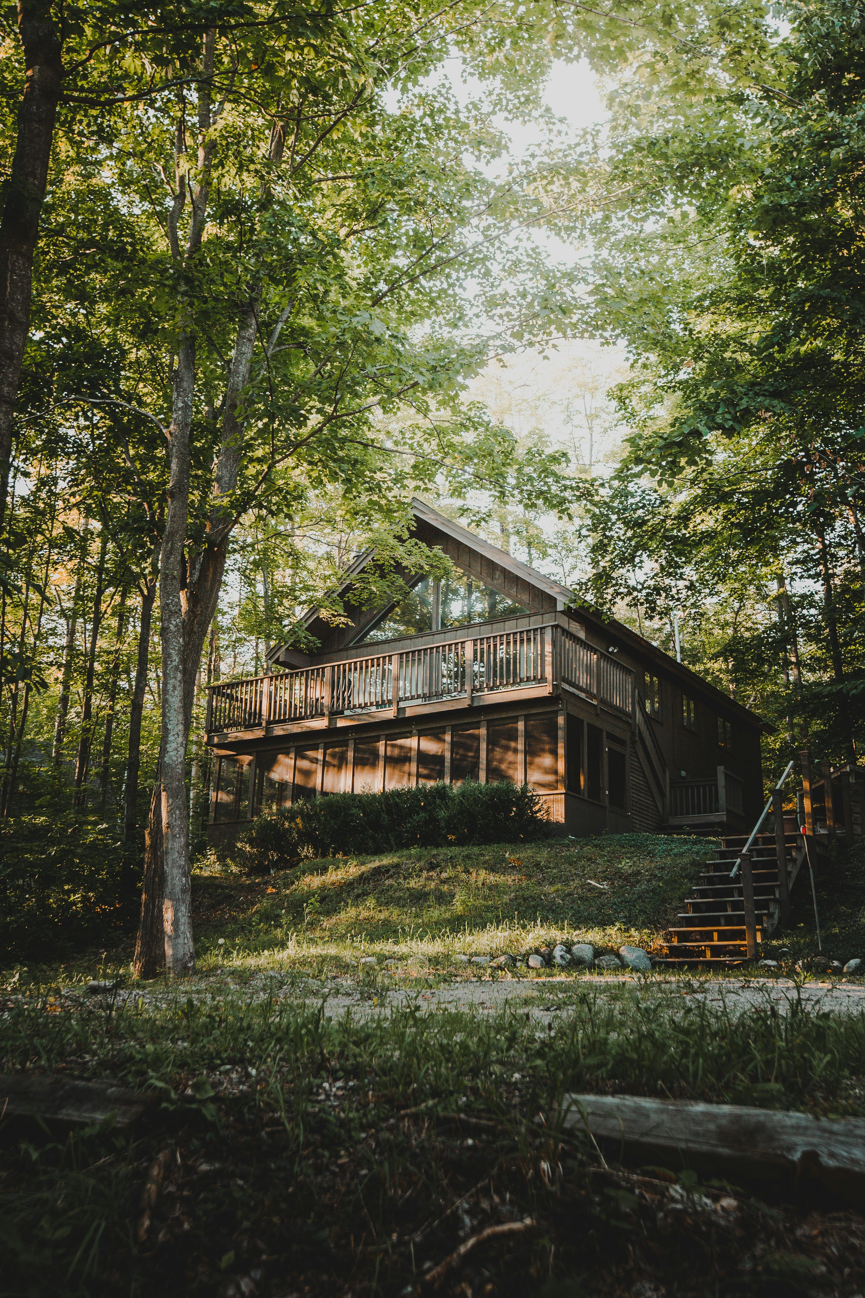 3000x4500 Forest House Picture. Download Free Image