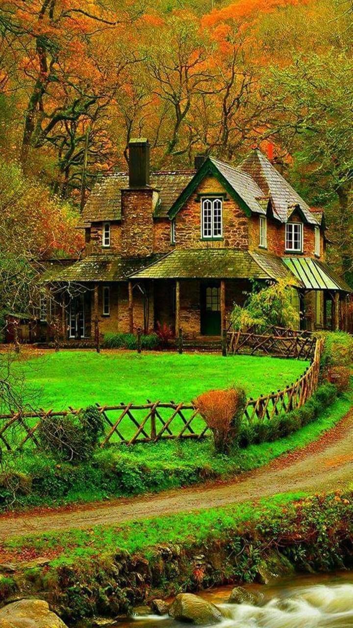 720x1280 Nature wallpaper