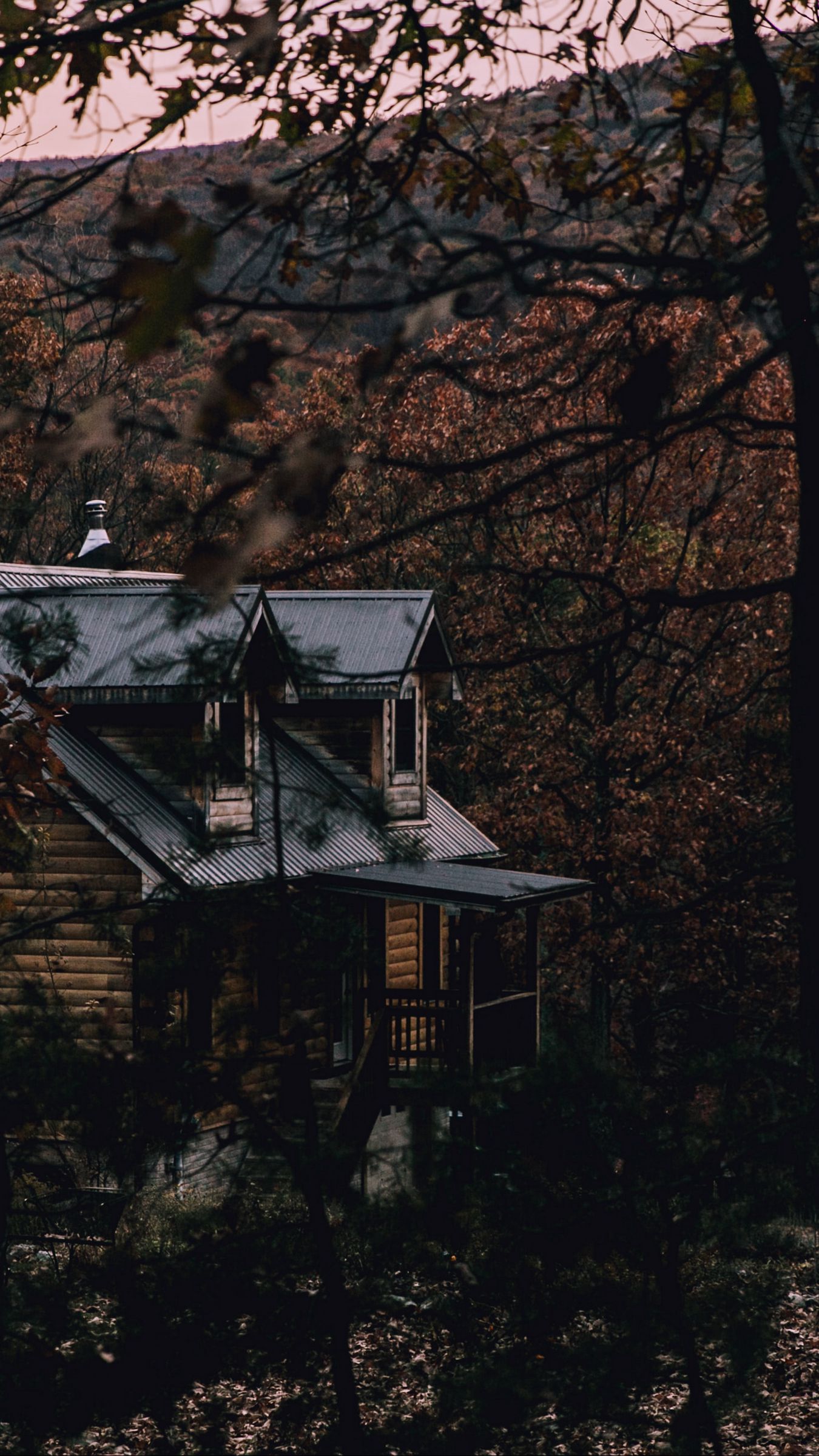 1350x2400 Download wallpaper 1350x2400 house, forest, trees, nature, comfort iphone 8+/7+/6s+/for parallax HD background
