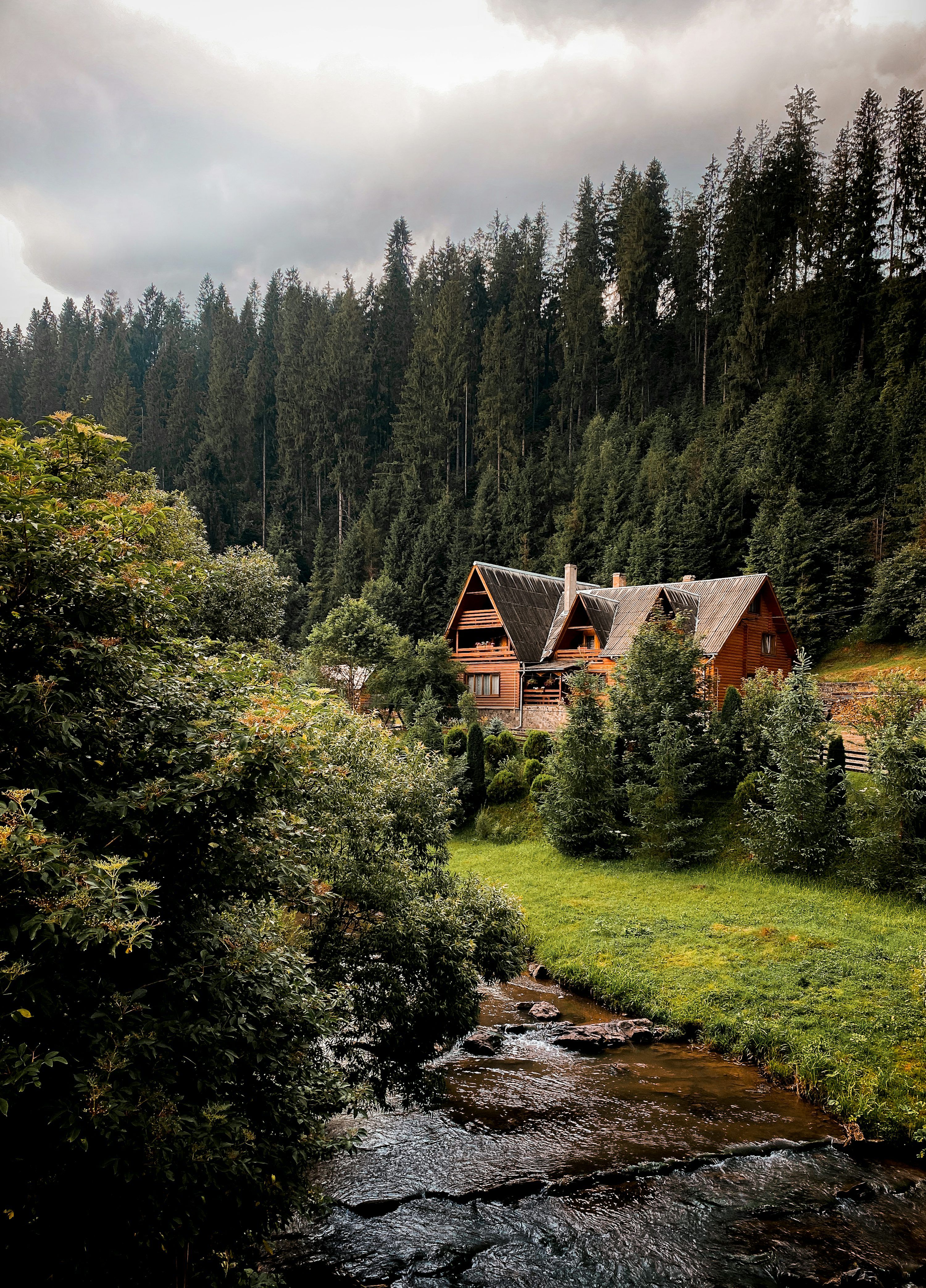 3000x4173 Brown wooden house in the middle of forest photo