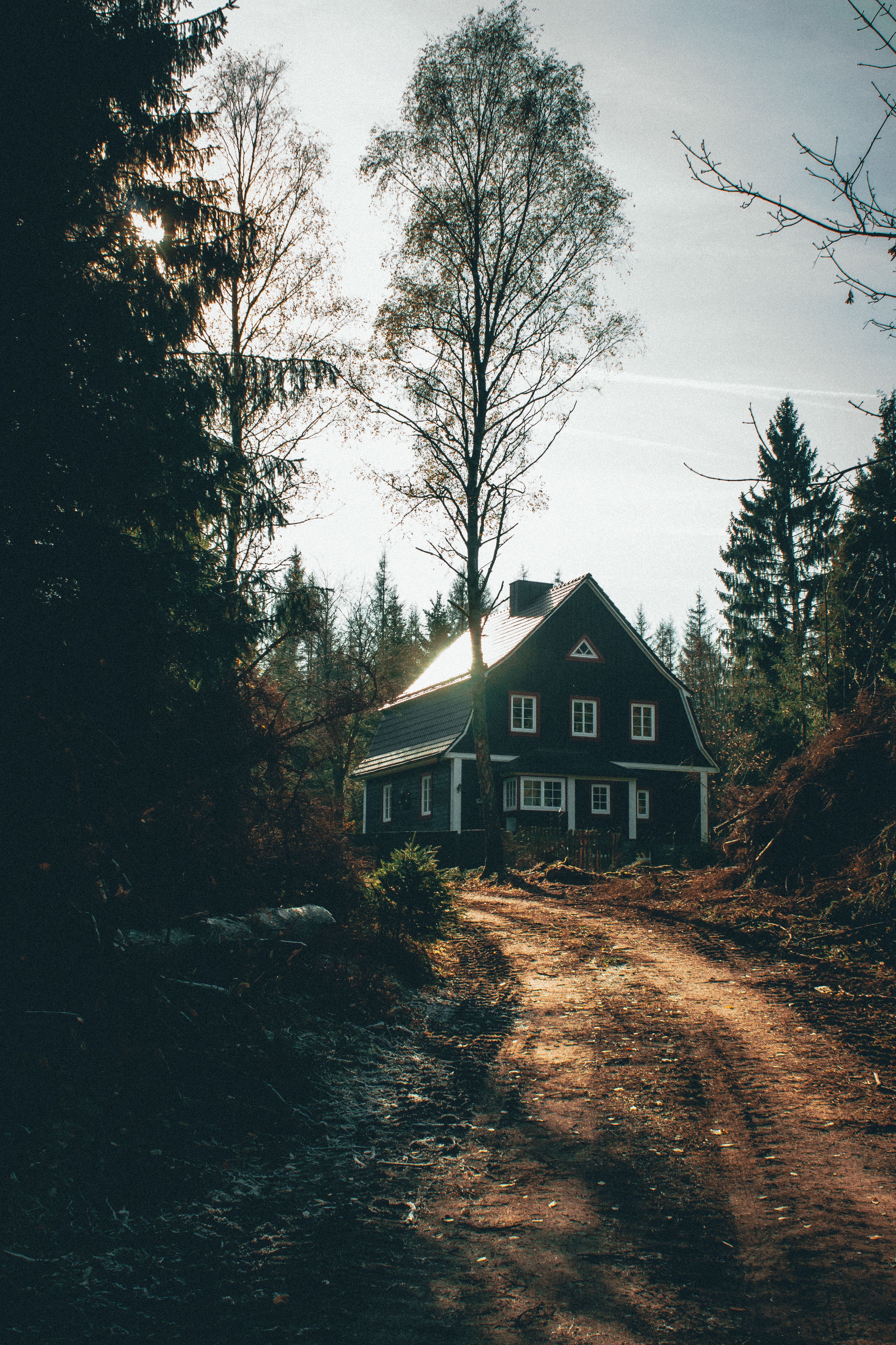 3456x5184 House In The Woods Photo, Download The BEST Free House In The Woods & HD Image