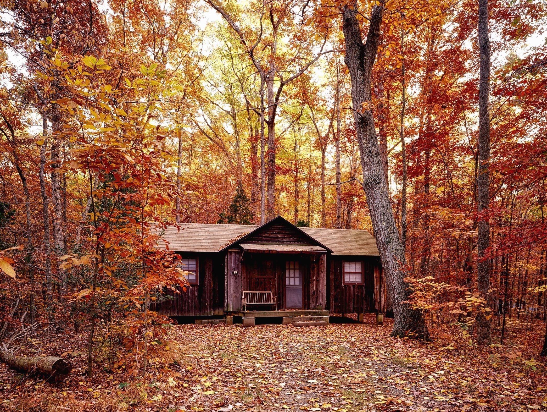 2090x1573 Free picture: trees, woods, autumn, leaves, beautiful, color, forest, house, landscape