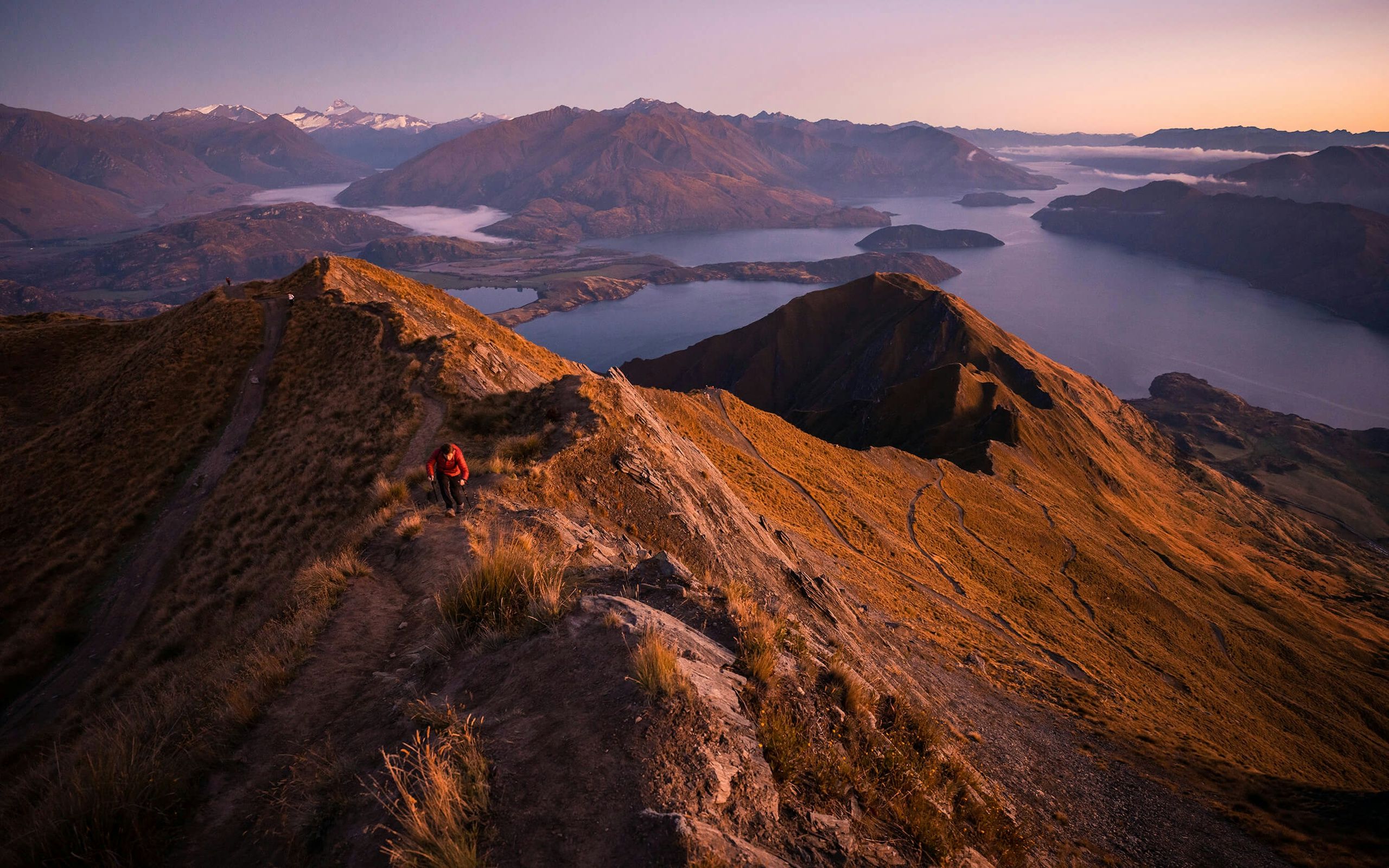 2560x1600 Adam Weist. Adventuringtropical Rainforests and Active Volcanoes of New Zealand