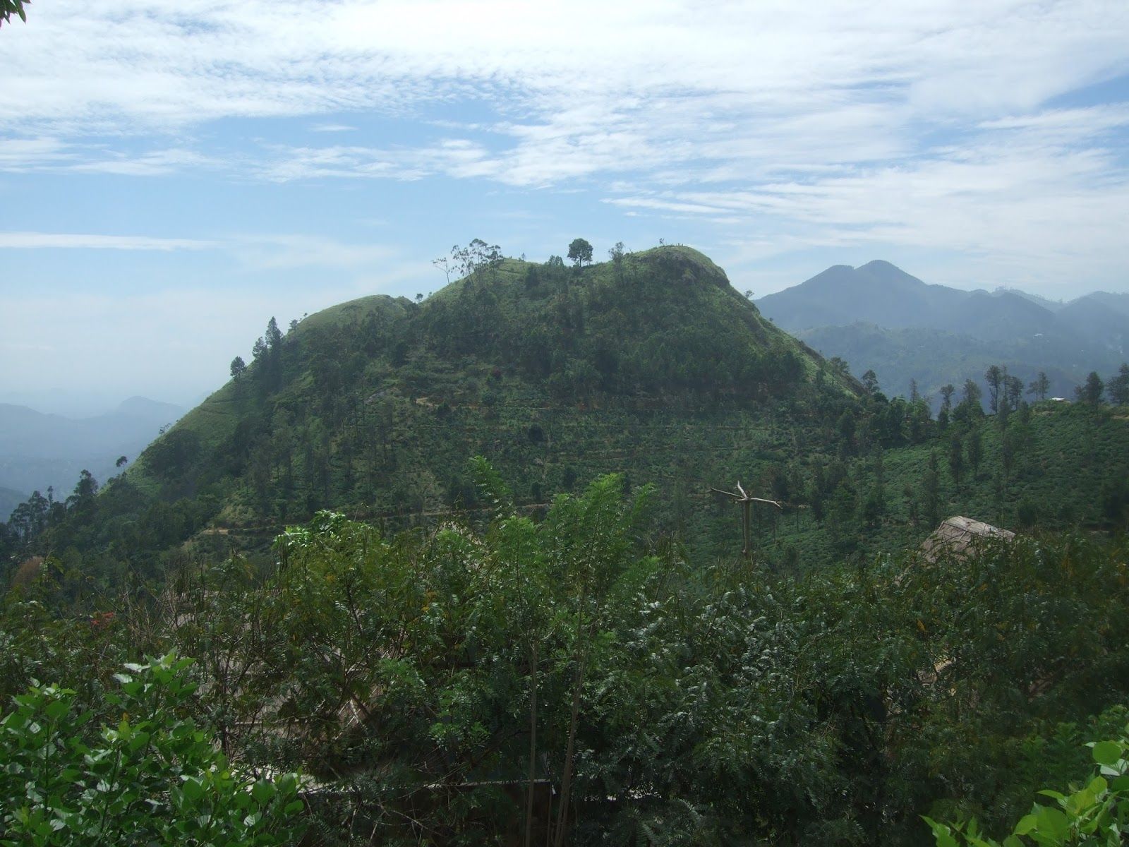 1600x1200 The Travels of a Curious Old Man: Ella: Like an English Village Maybe Not. Part 10 of Sri Lanka, The Isle of Serendip