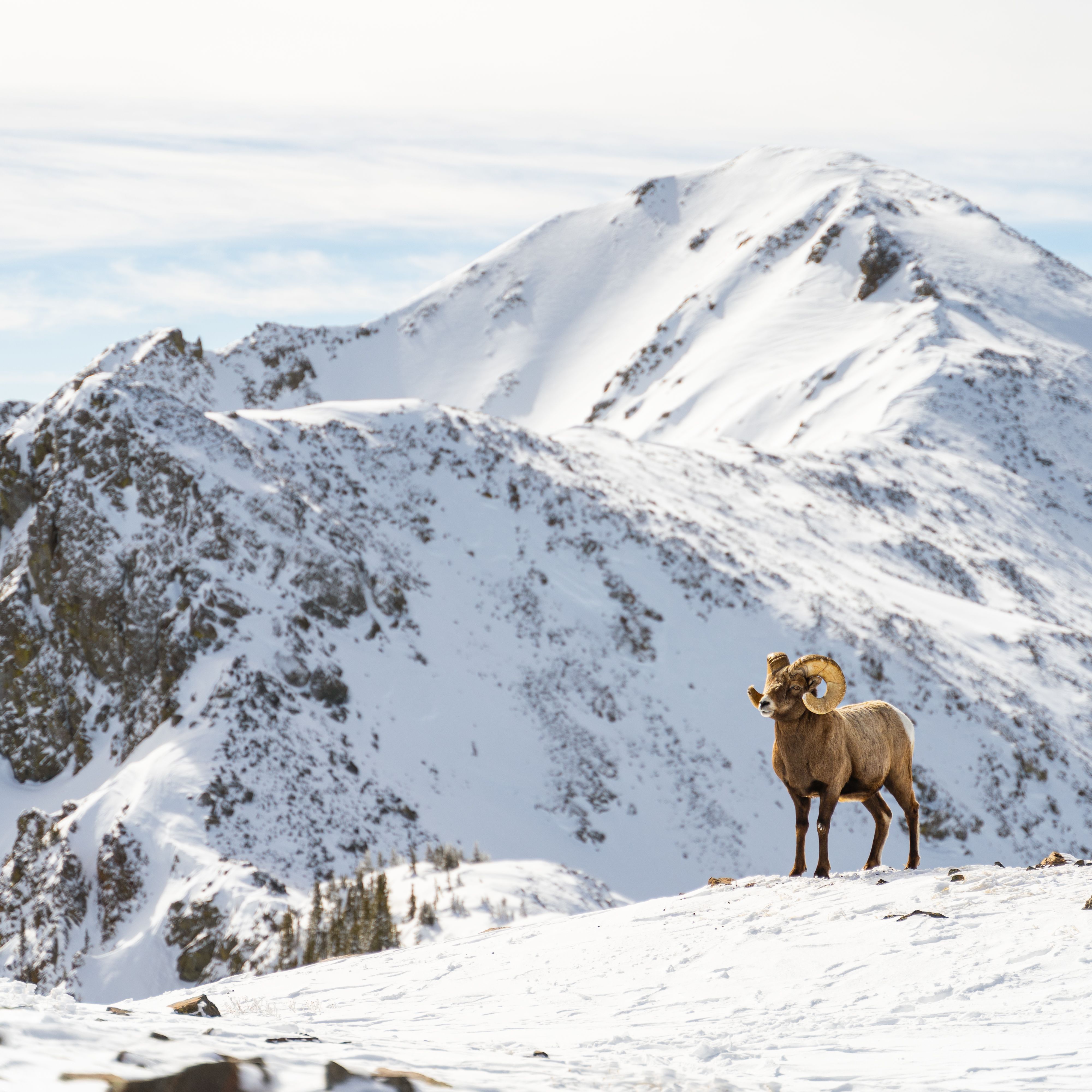 4000x4000 The Coolest Ski Destination in the West Is in New Mexico