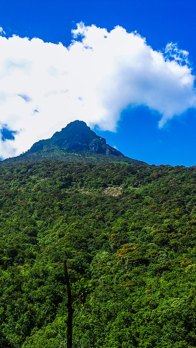 800x1422 Adams Peak, mountain in sri lanka, HD phone wallpaper