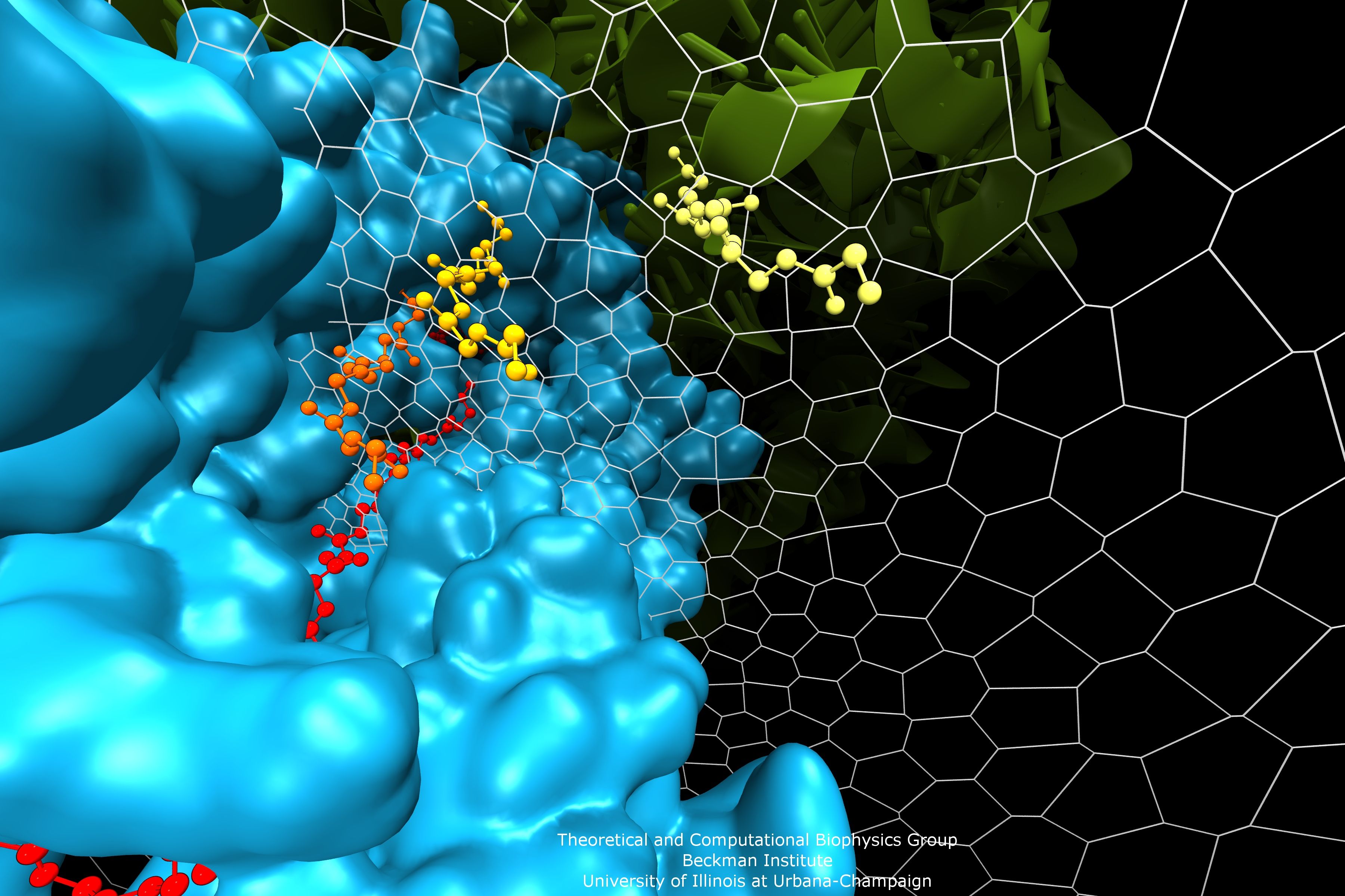 3600x2400 Molecular Biophysics Image