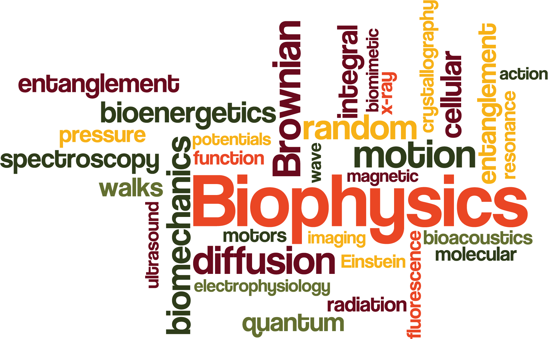 1748x1083 Biophysics Wallpaper