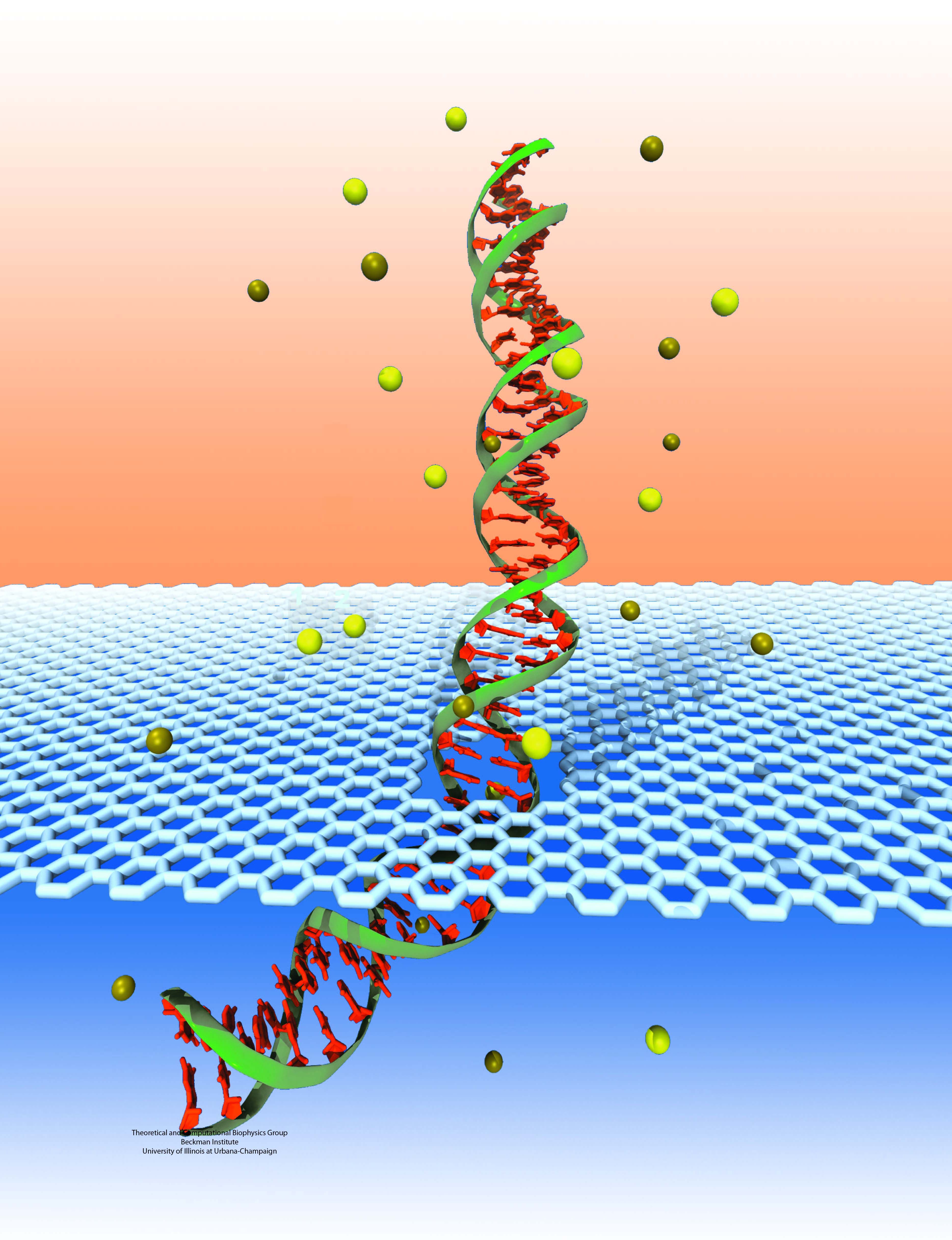 3736x4864 Molecular Biophysics Image