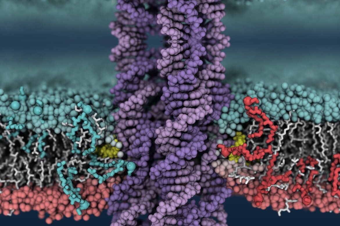 1170x780 Home. Center for Biophysics and Quantitative Biology