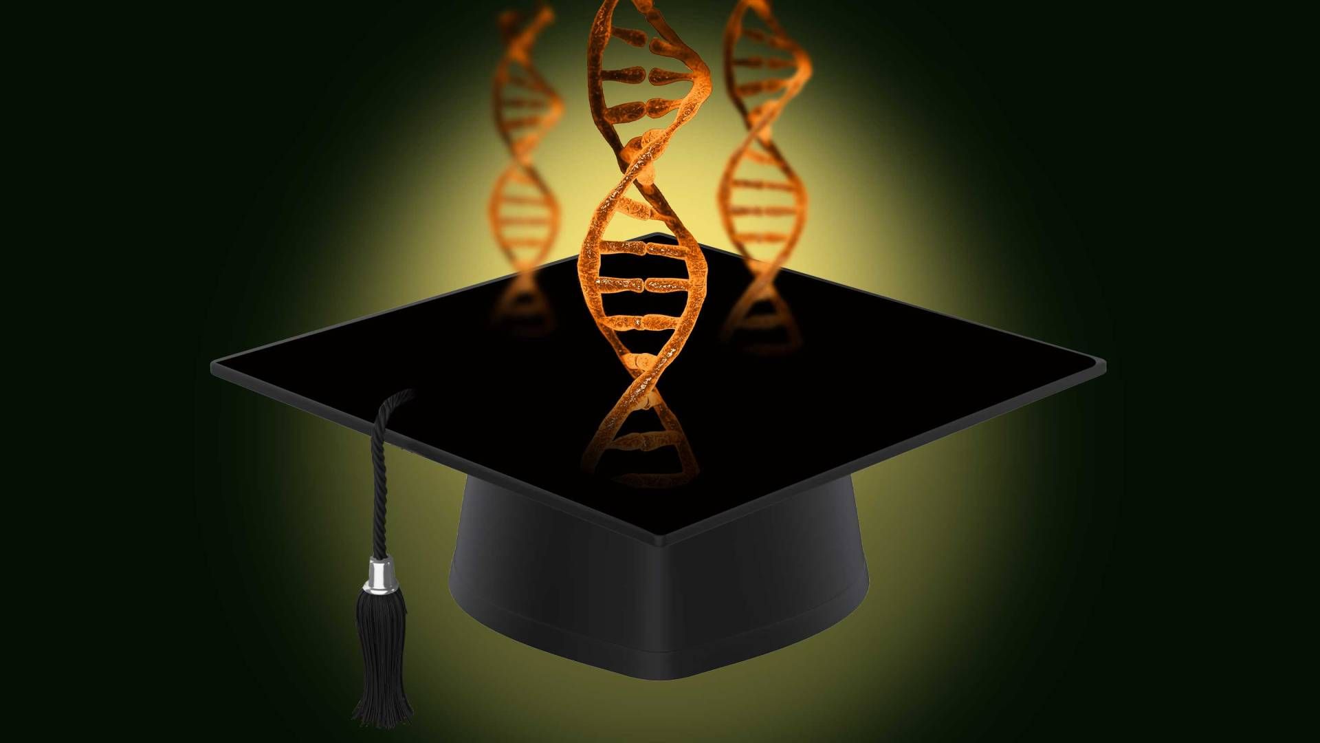 1920x1080 New biophysics graduate program draws leading faculty from across the University