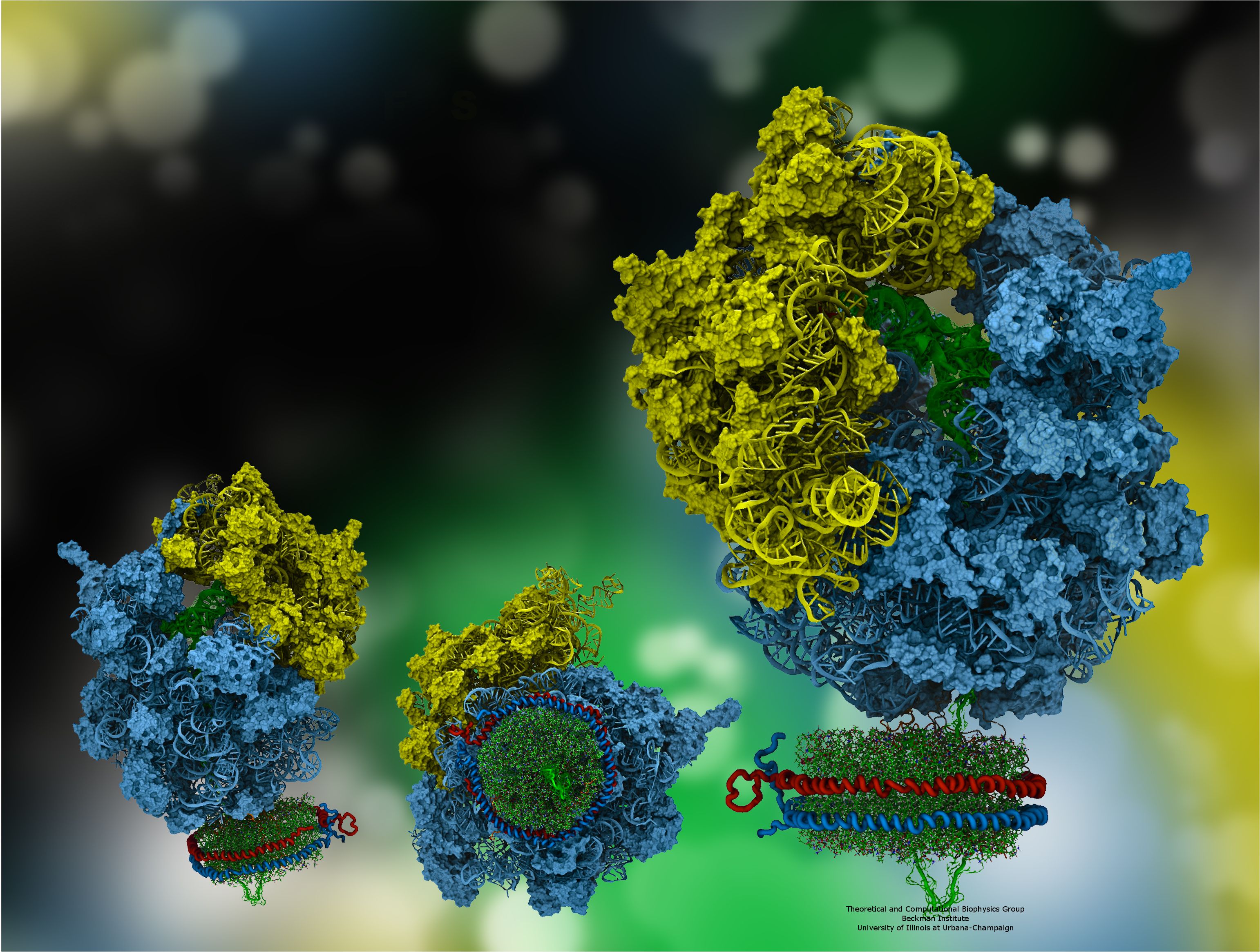 3084x2332 Molecular Biophysics Image