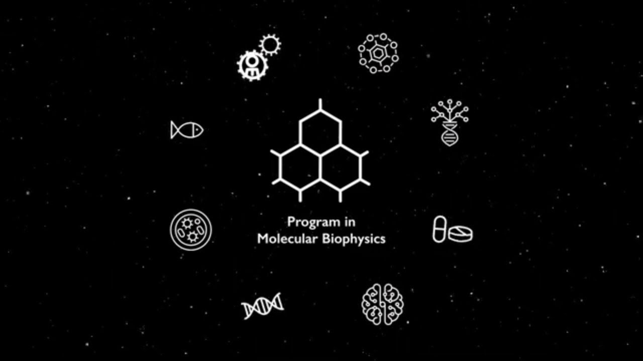 1280x720 The Johns Hopkins Program in Molecular Biophysics