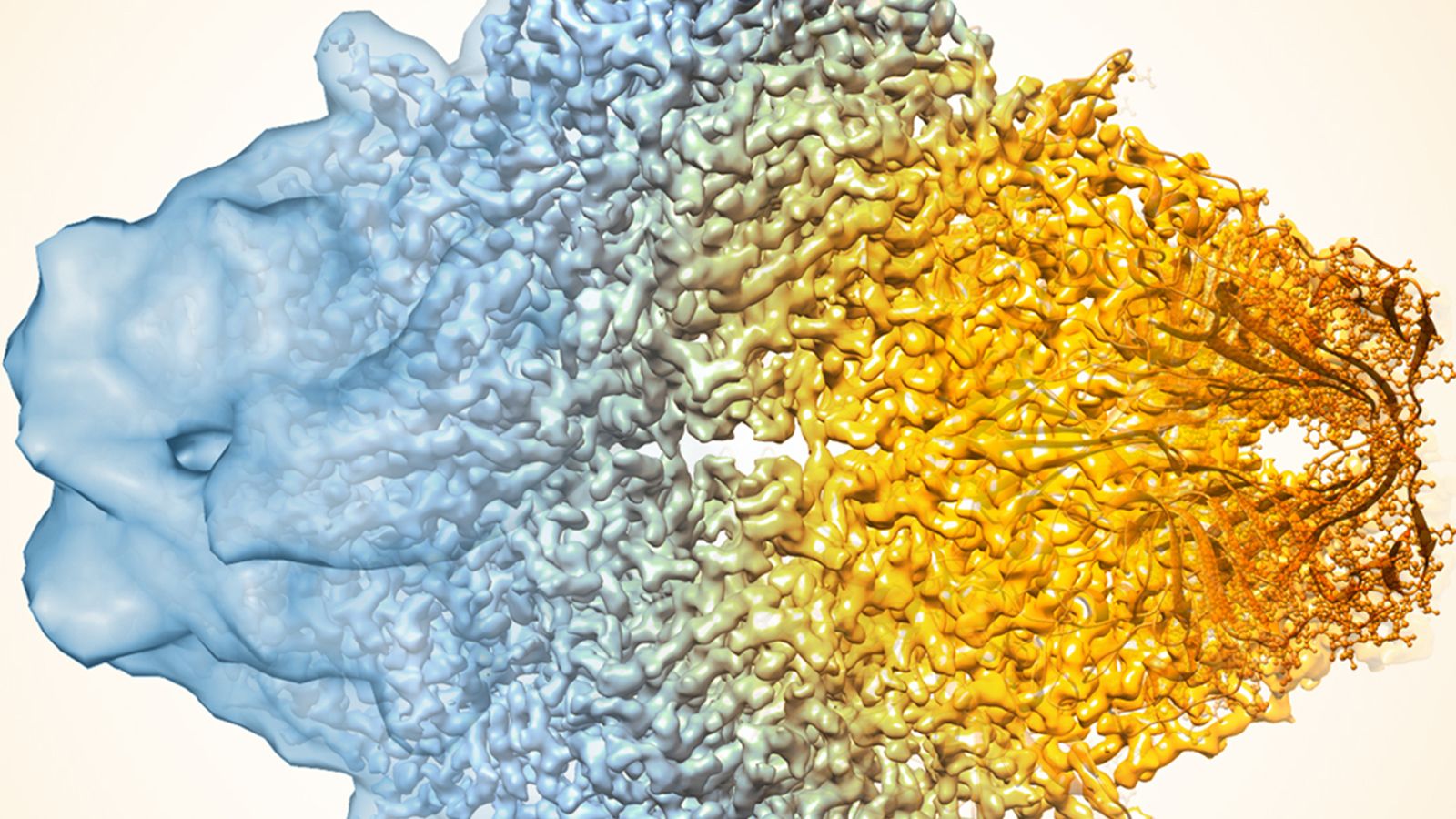 1600x900 Biochemistry, Biophysics, and Structural Biology Department of Biology