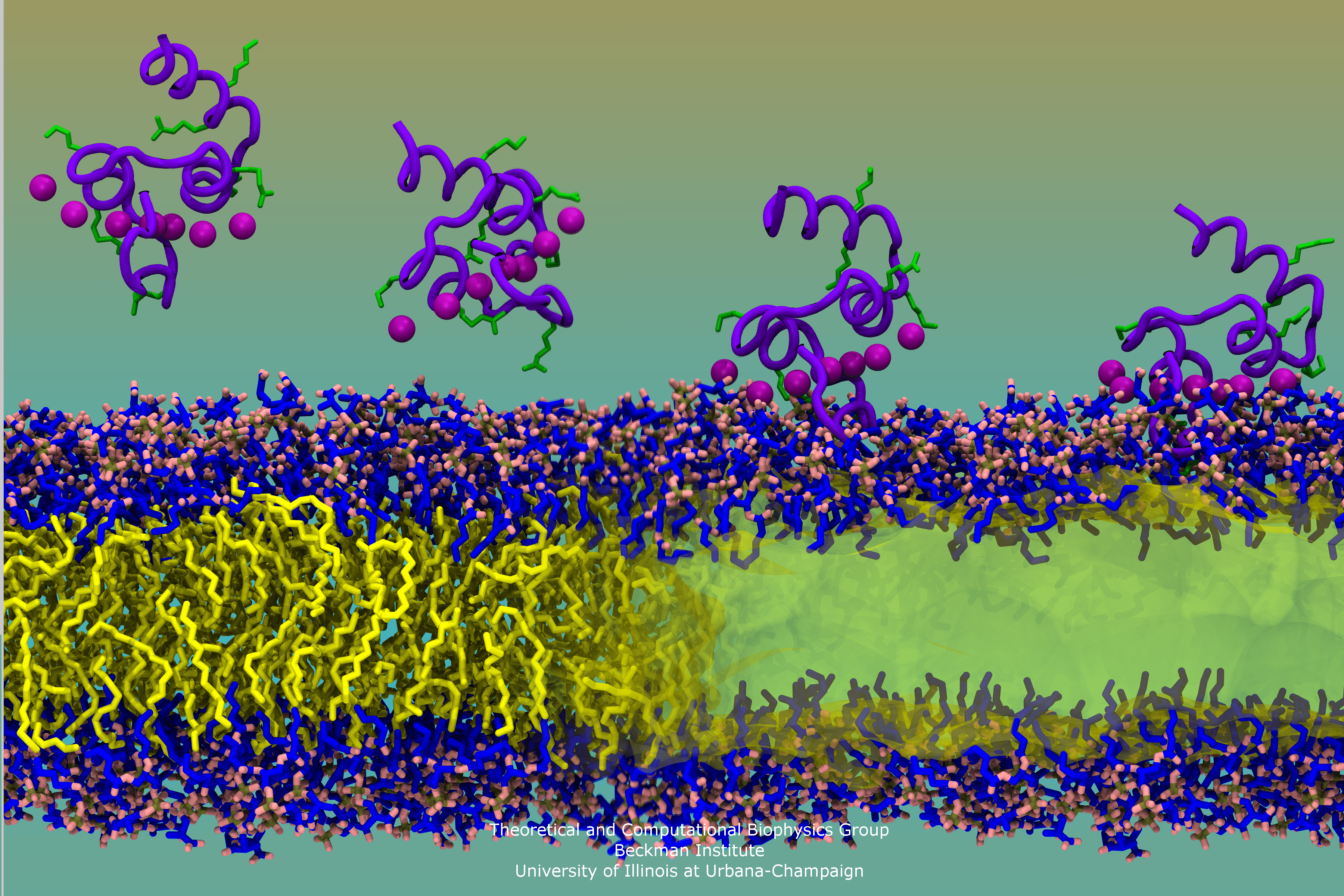 3600x2400 Molecular Biophysics Image