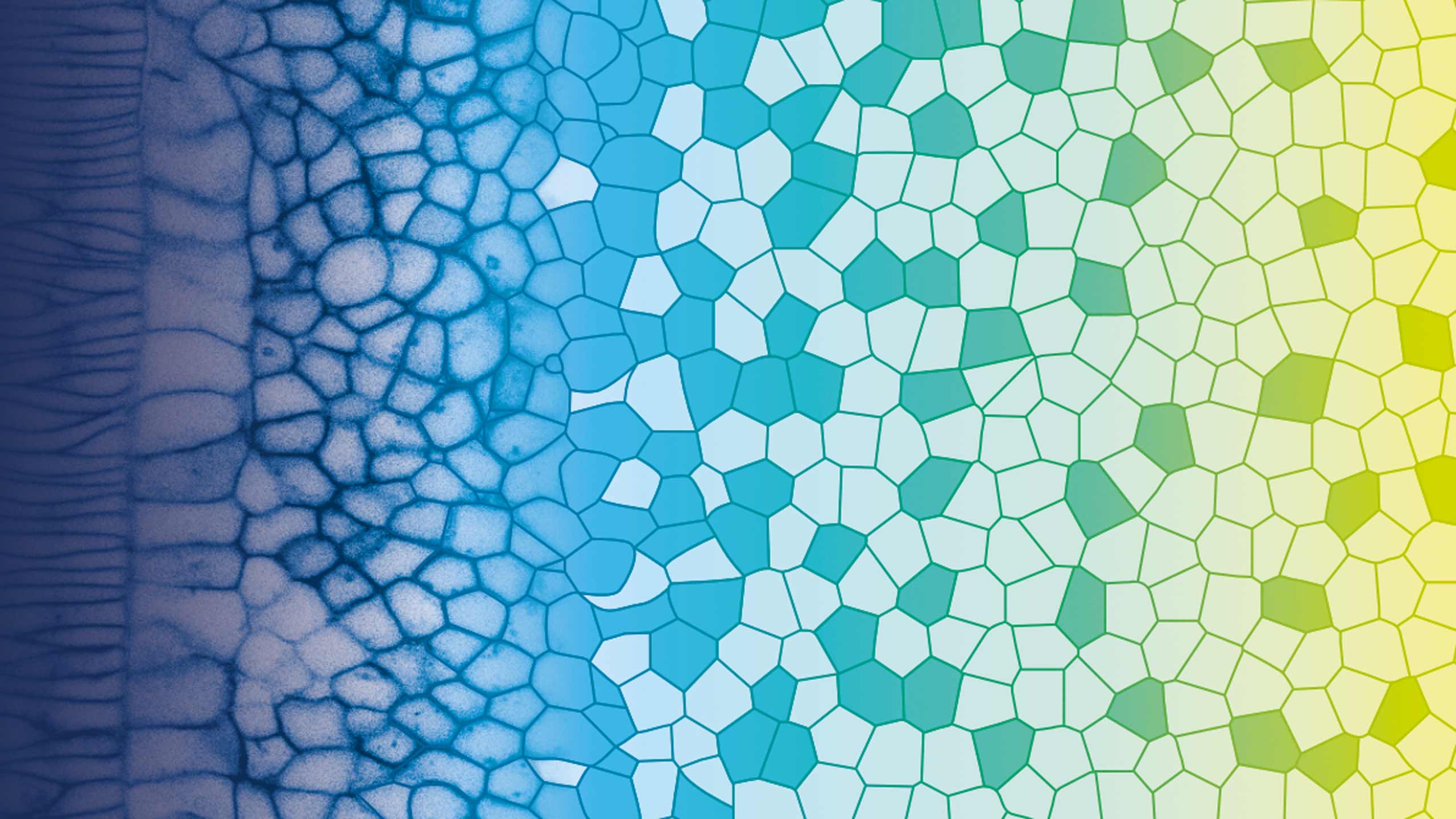 2560x1440 PoL