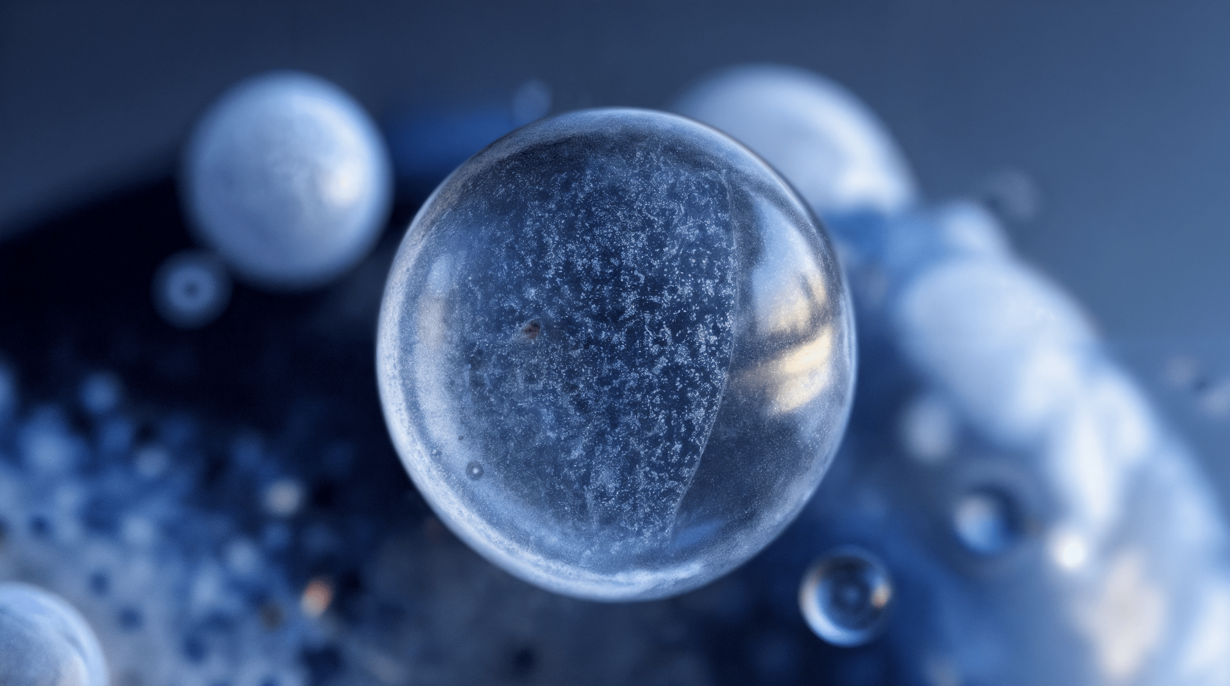 2500x1395 The Whole You Institute